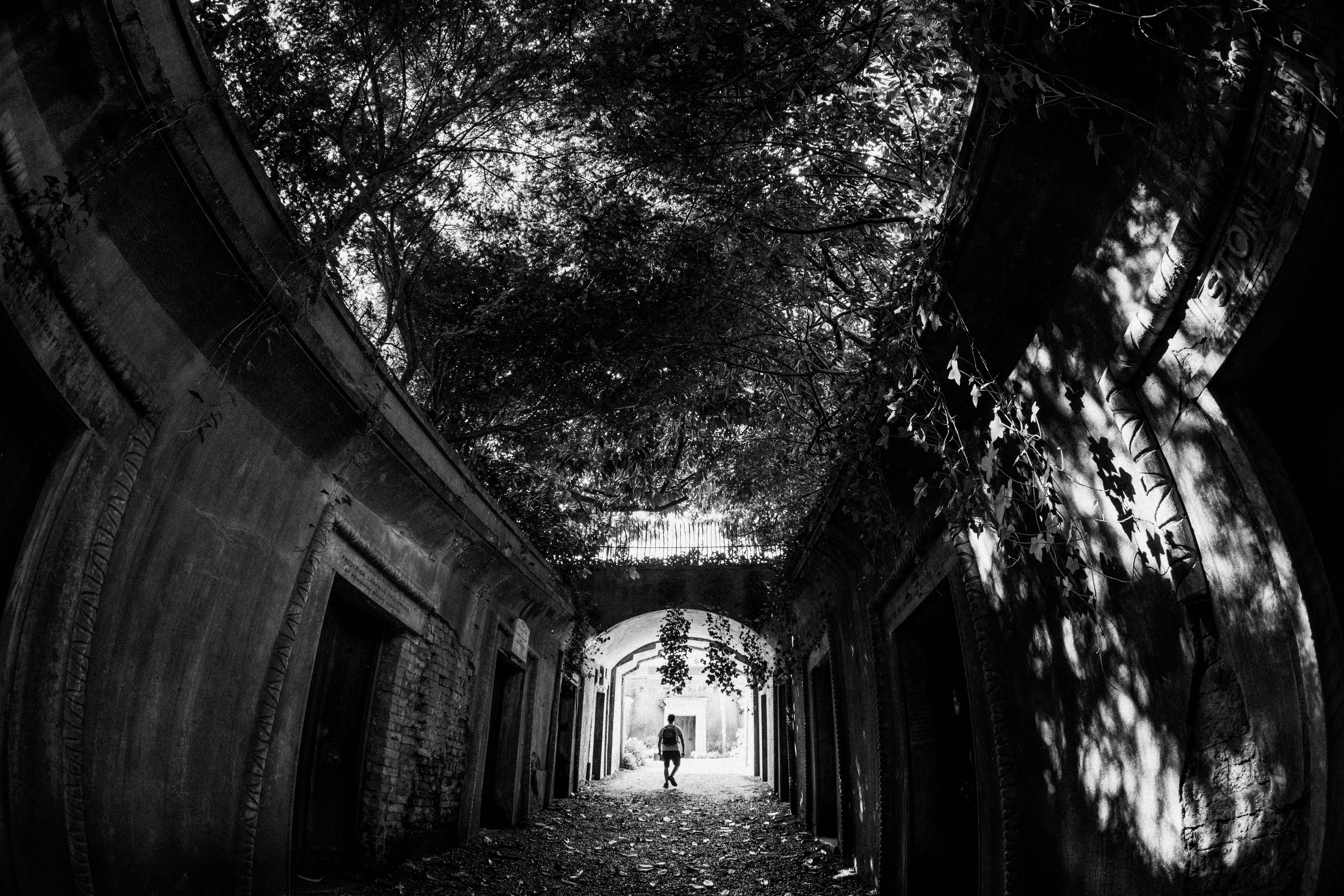 Photo by anniespratt