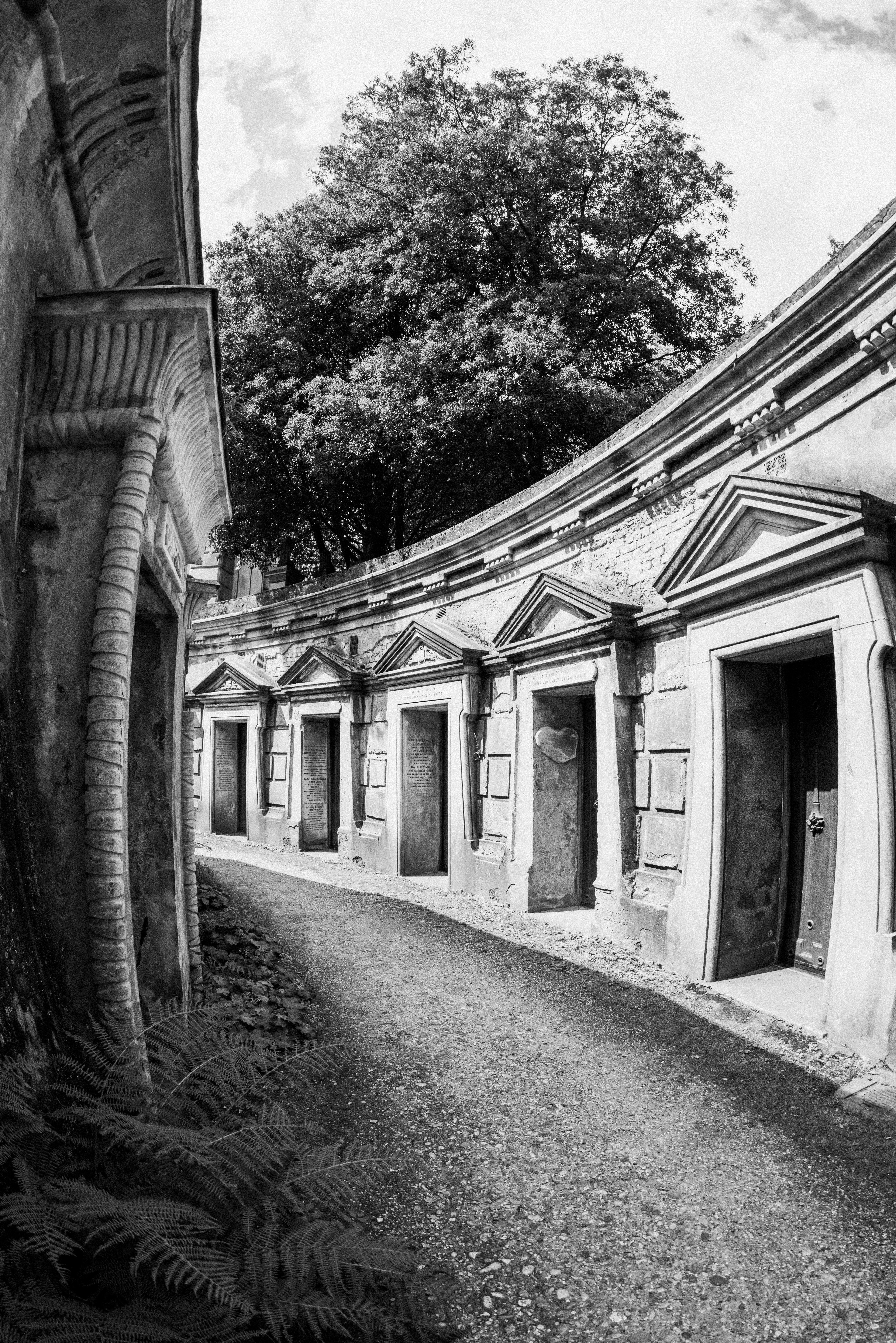 Photo by anniespratt