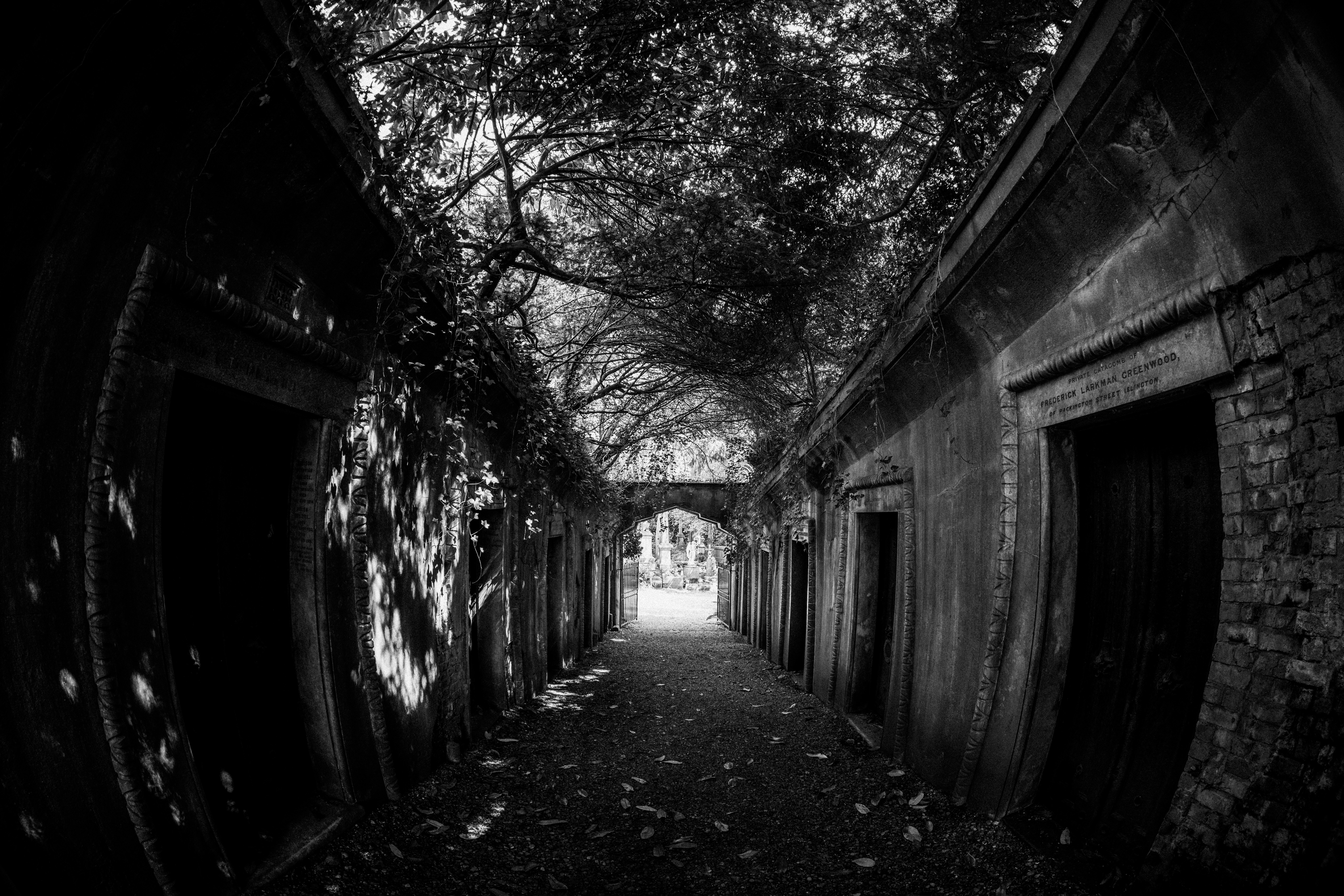 Photo by anniespratt