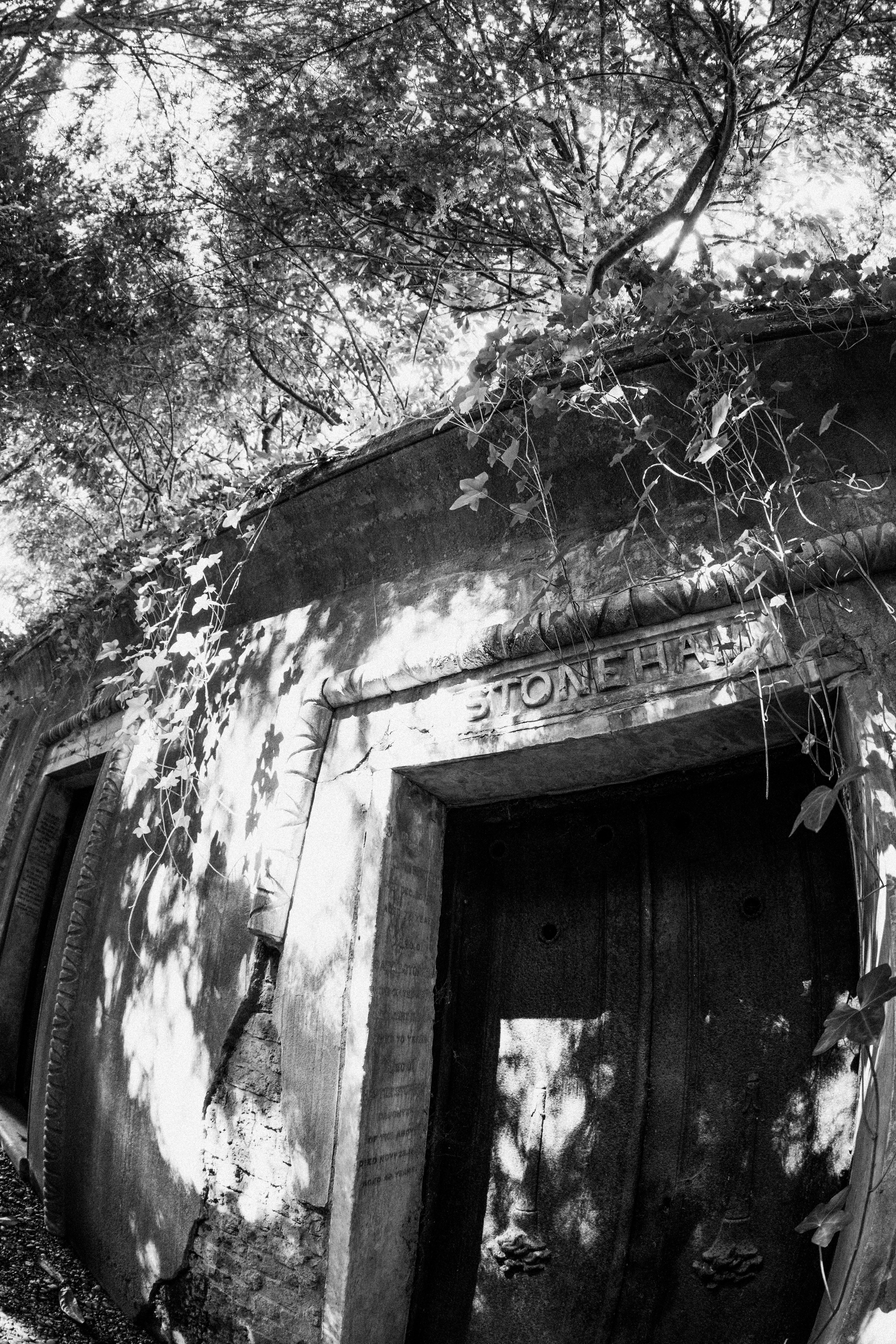 Photo by anniespratt