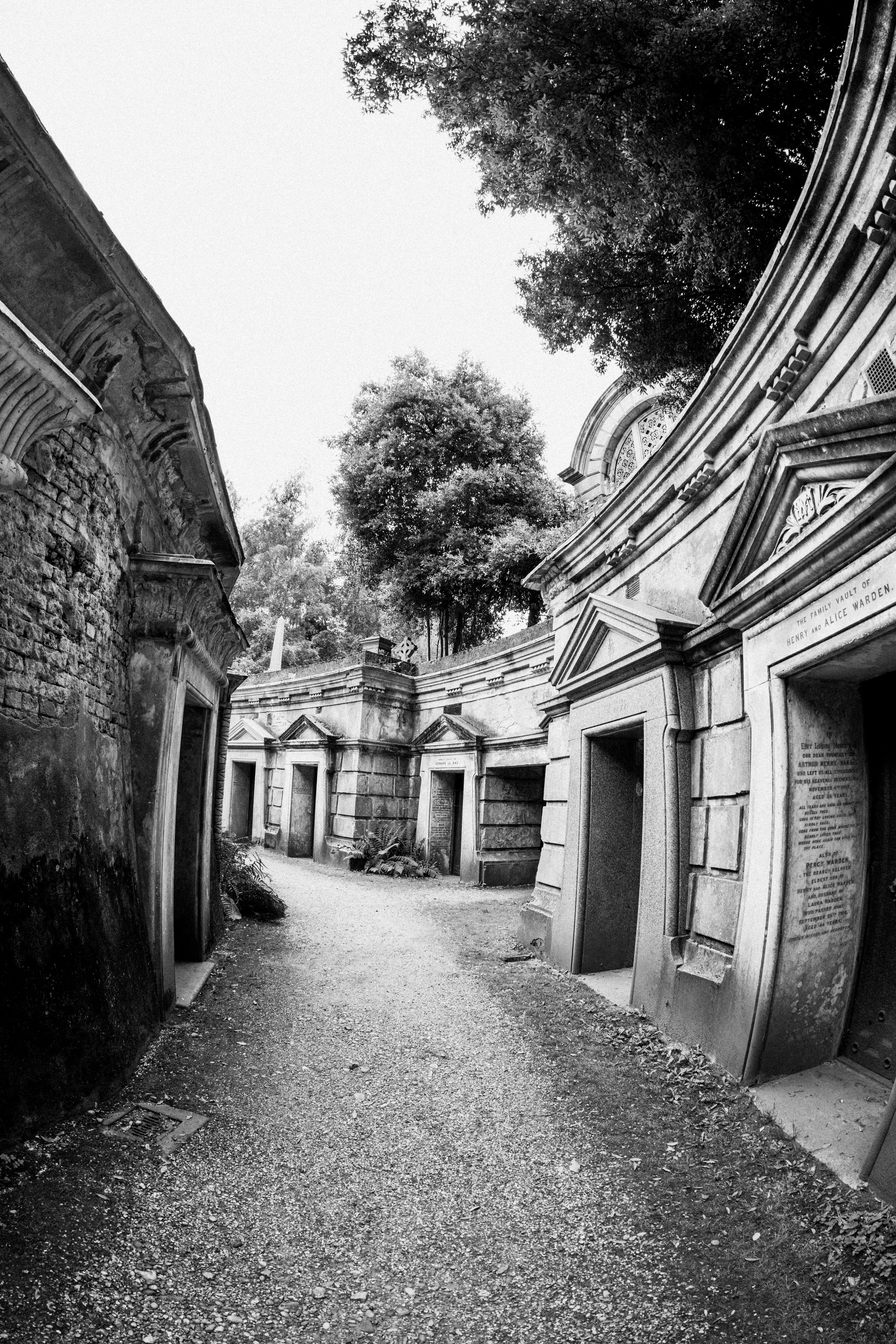 Foto hitam putih dari jalan sempit