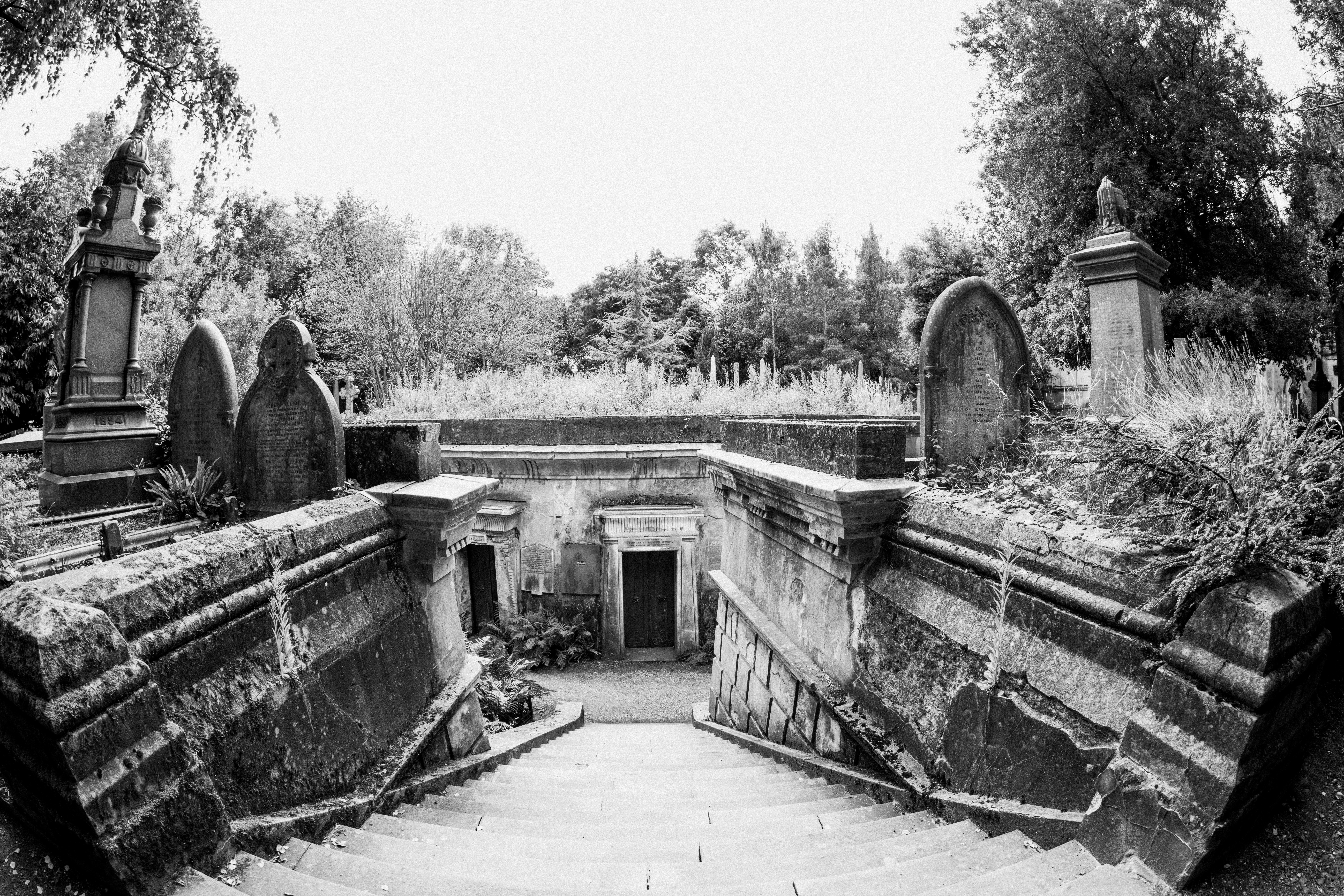 Photo by anniespratt