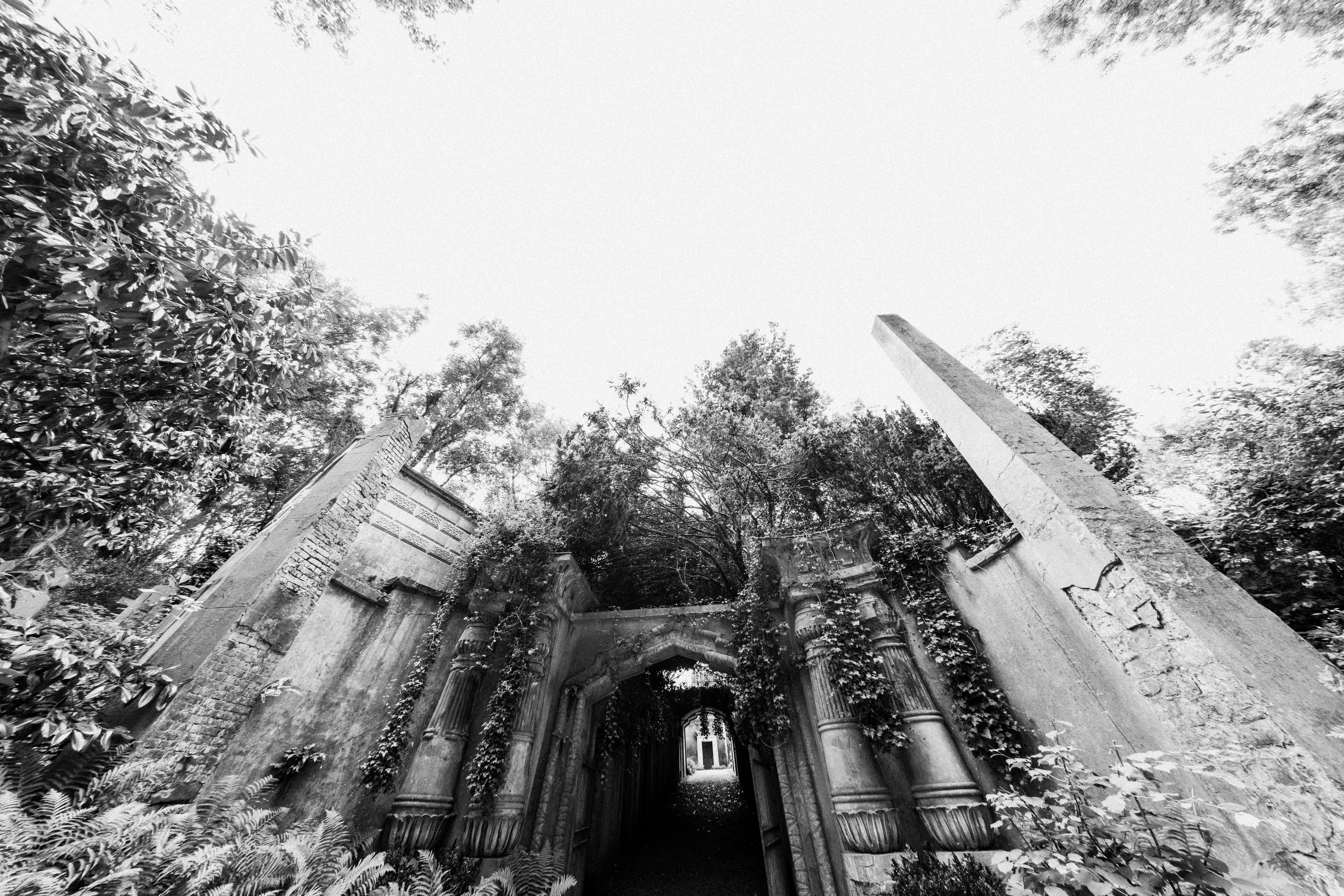 Photo by anniespratt