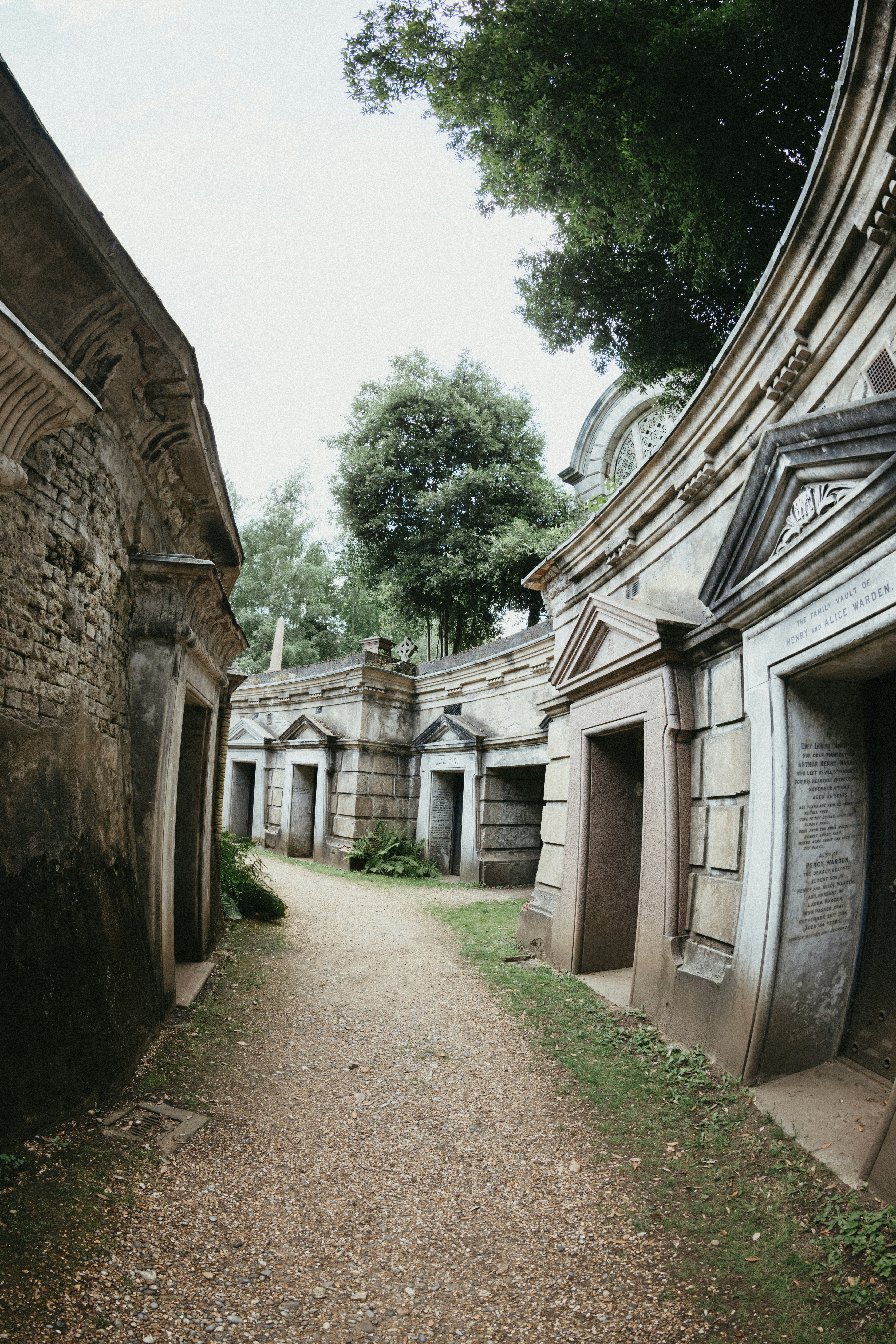 Photo by anniespratt