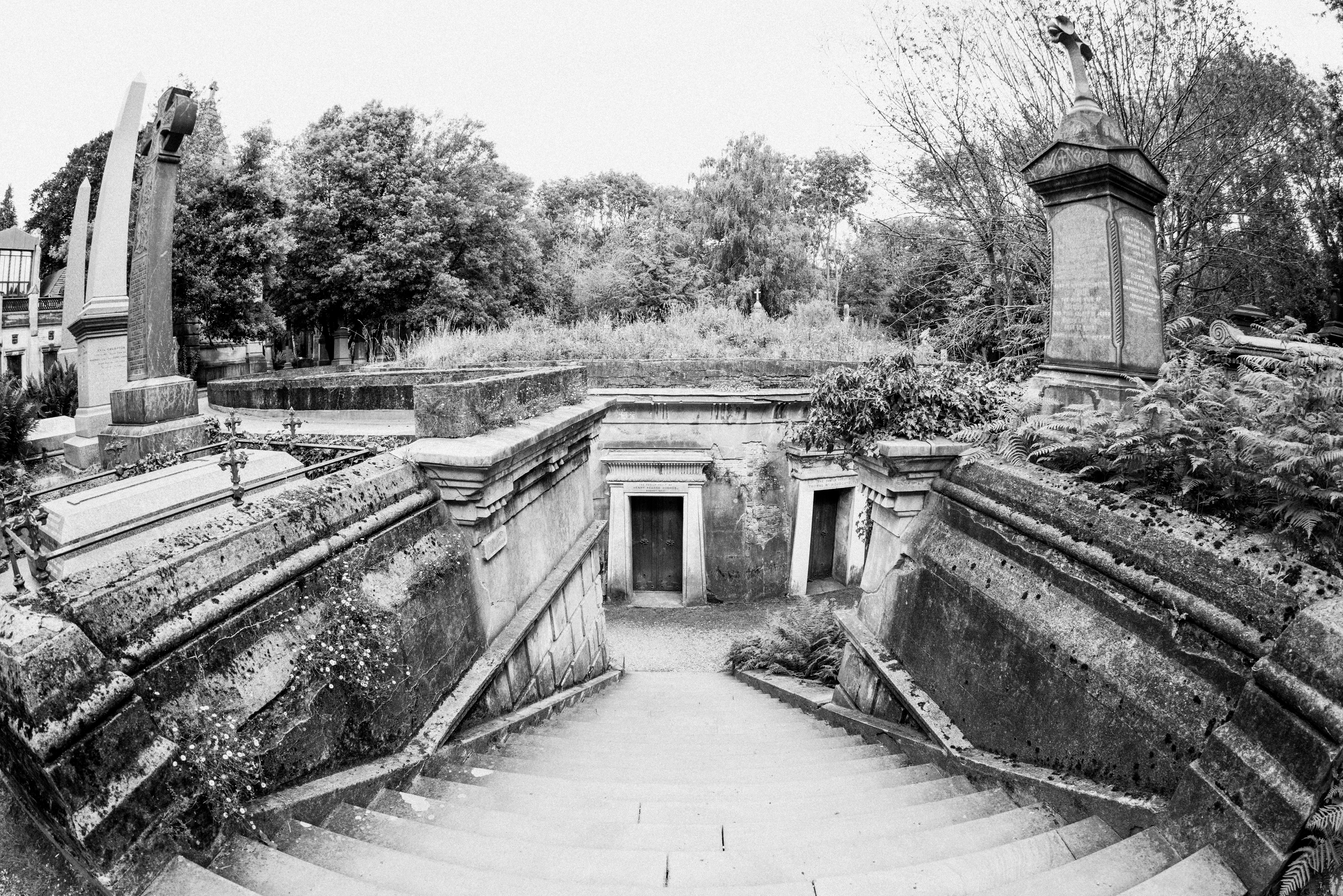 Photo by anniespratt