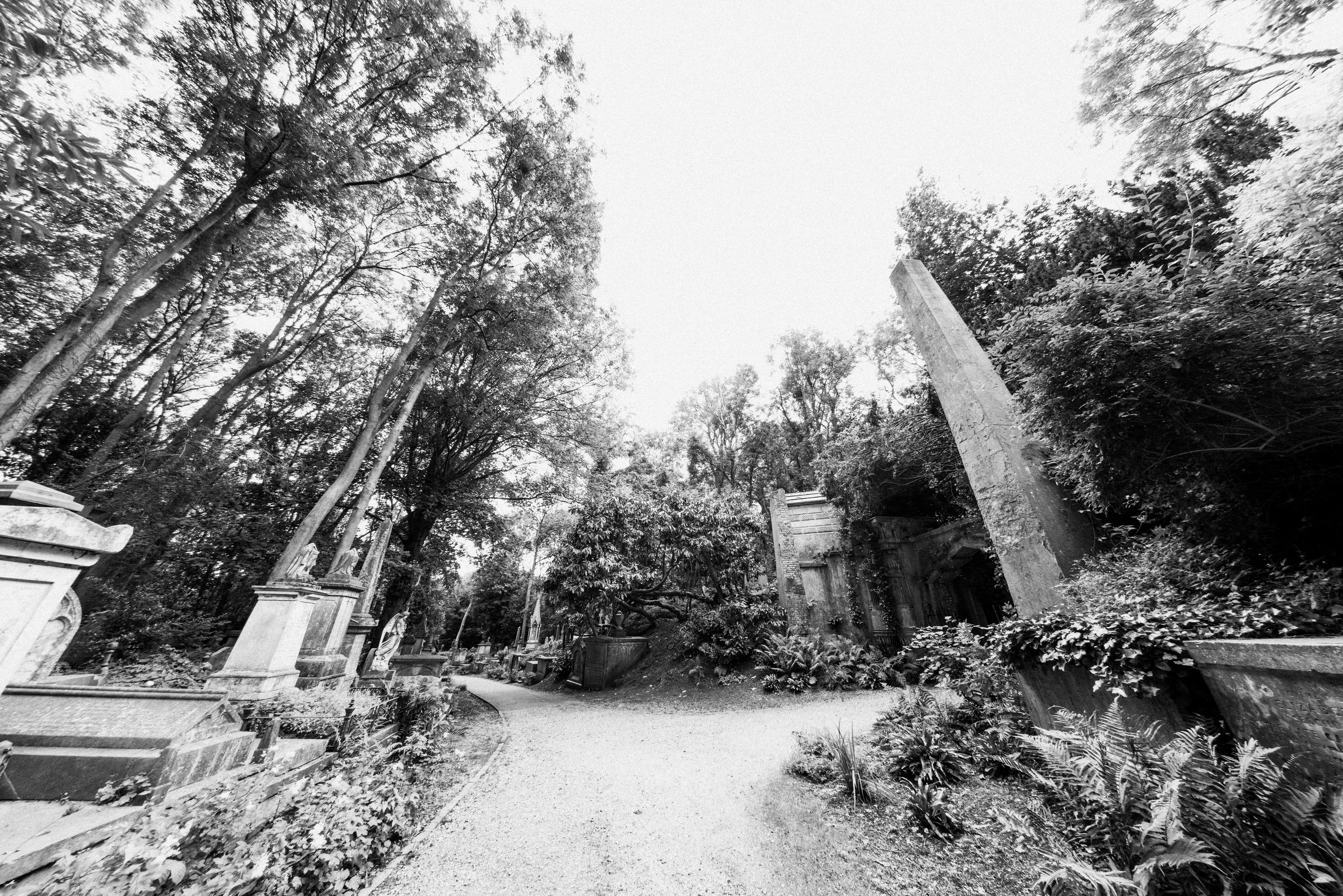 Photo by anniespratt