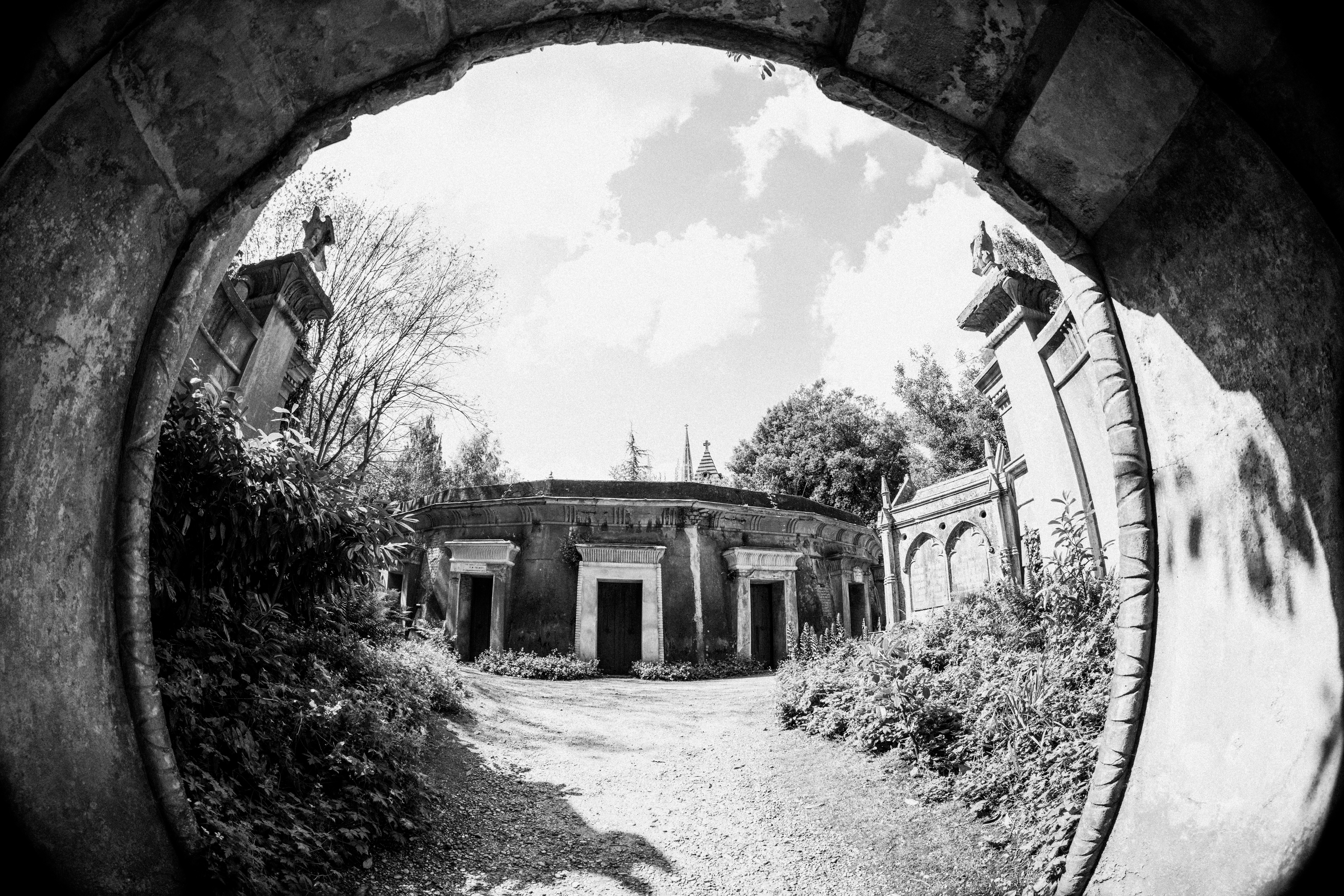 Photo by anniespratt