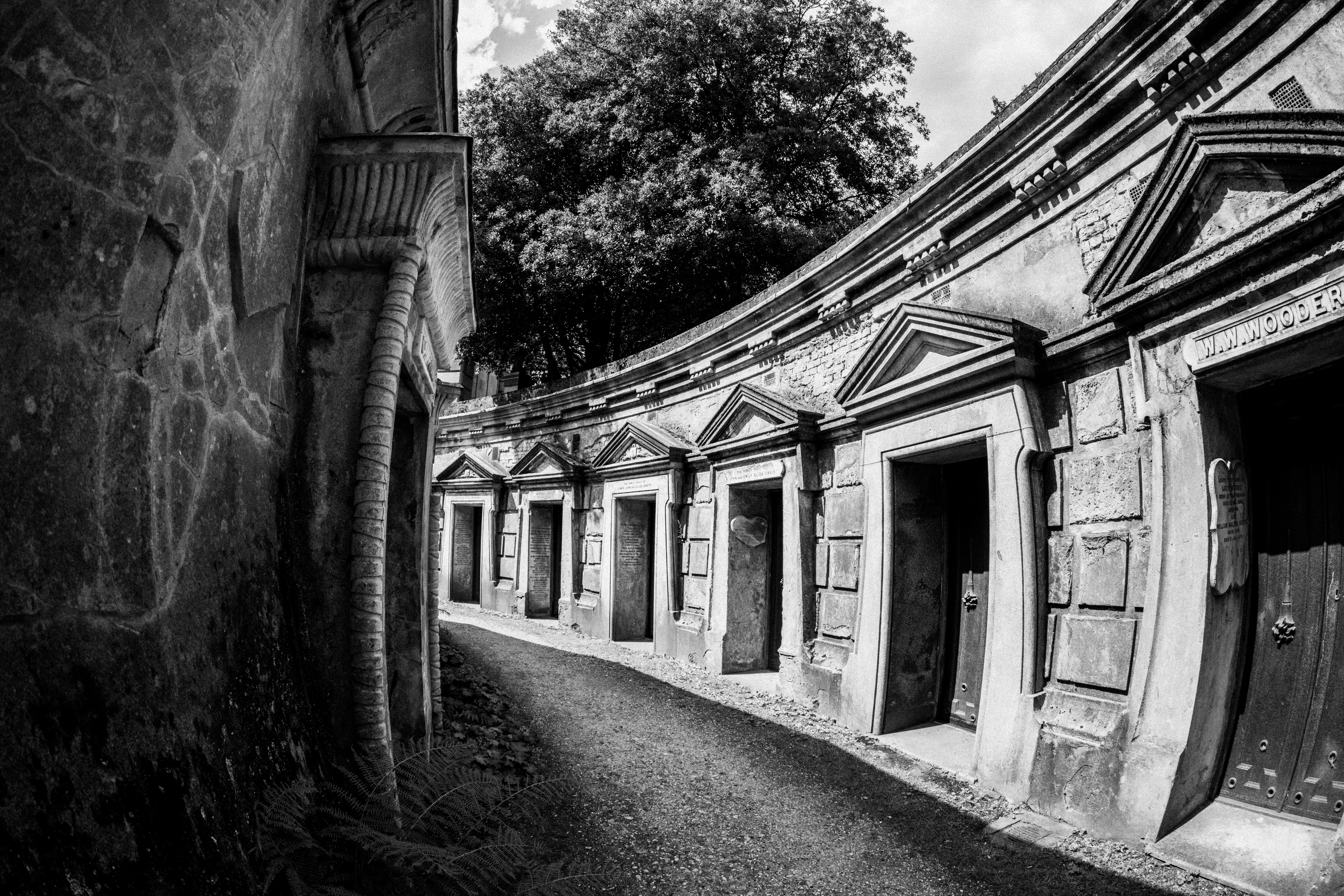 Photo by anniespratt