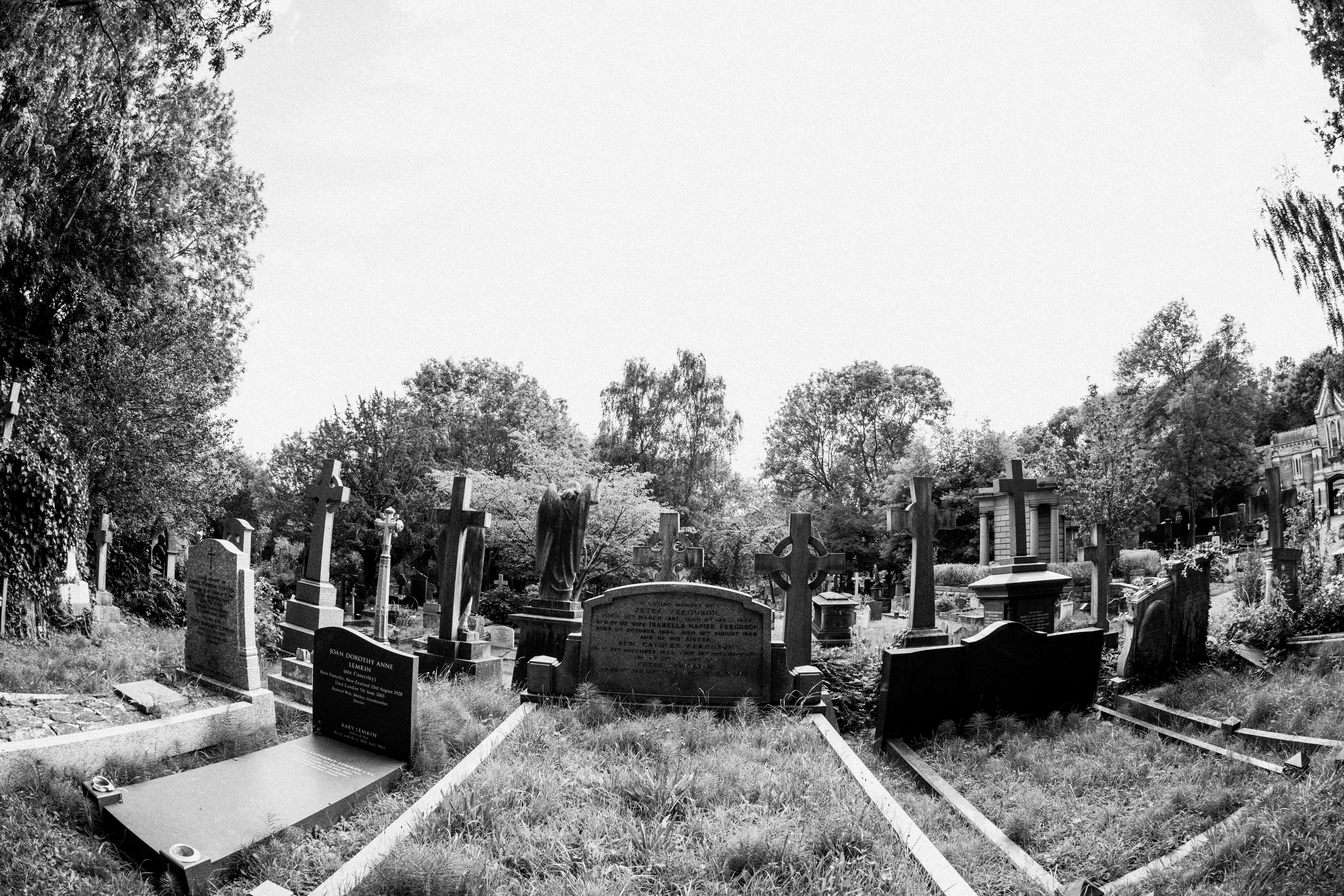 Photo by anniespratt