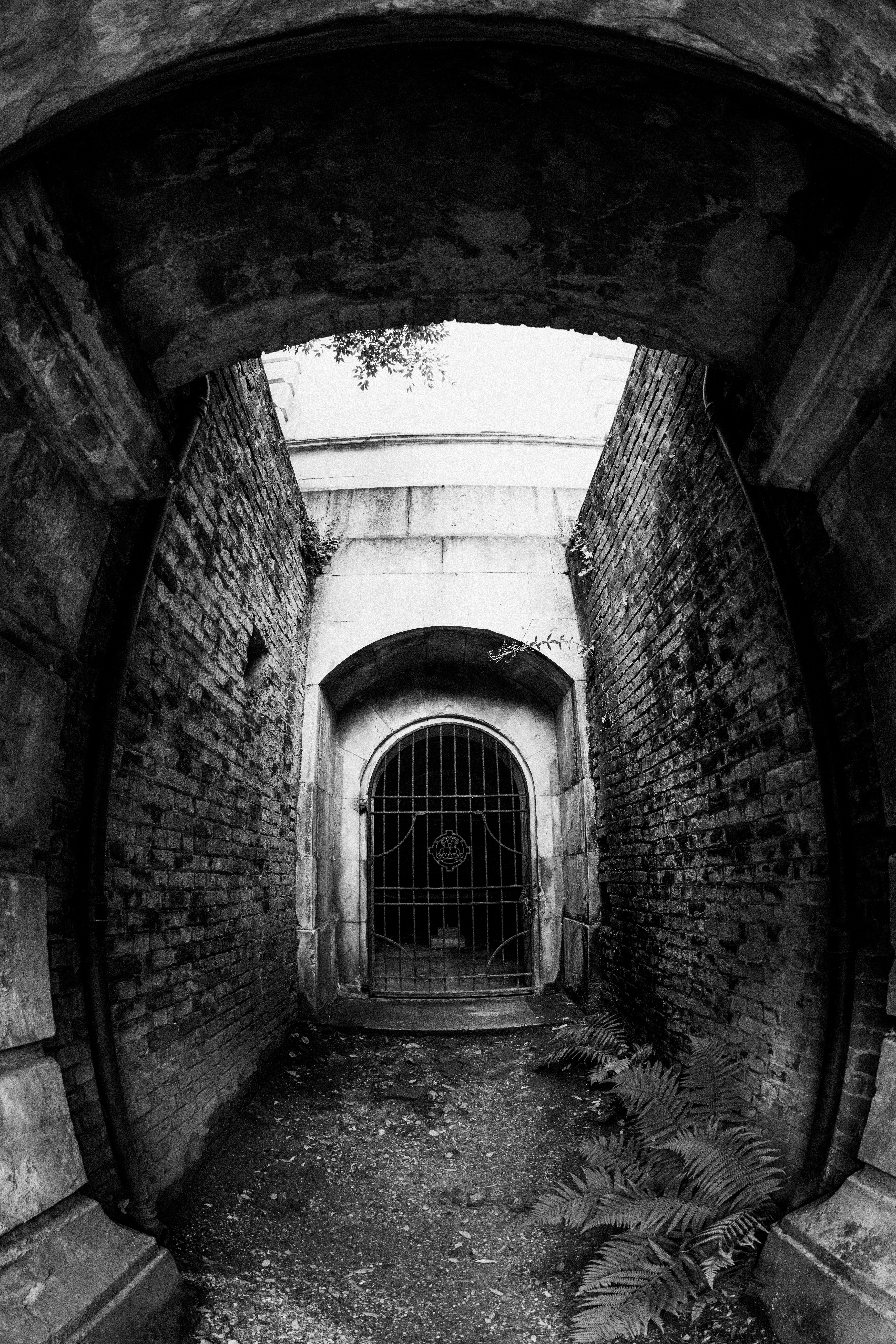 Photo by anniespratt