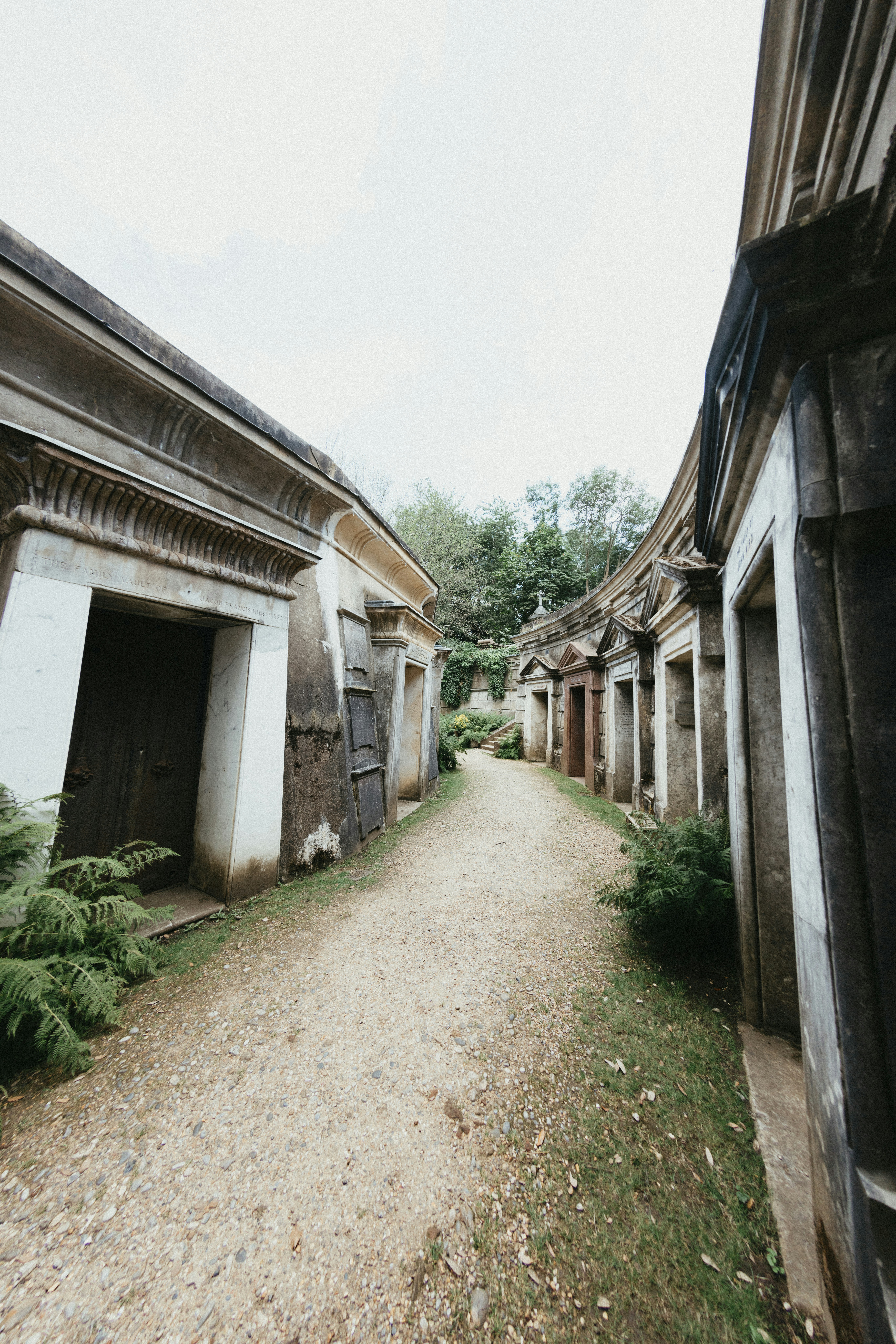 Photo by anniespratt