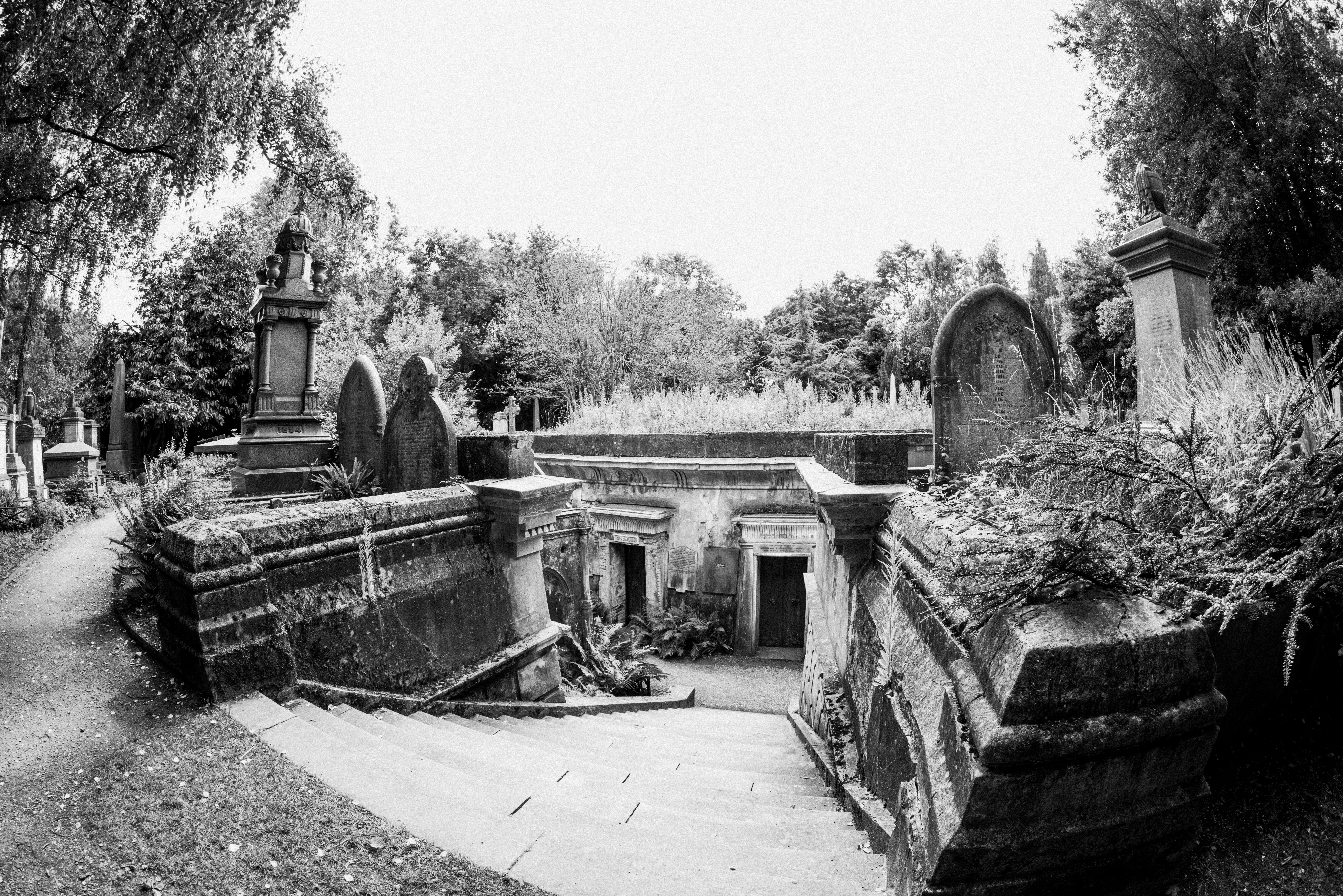 Photo by anniespratt