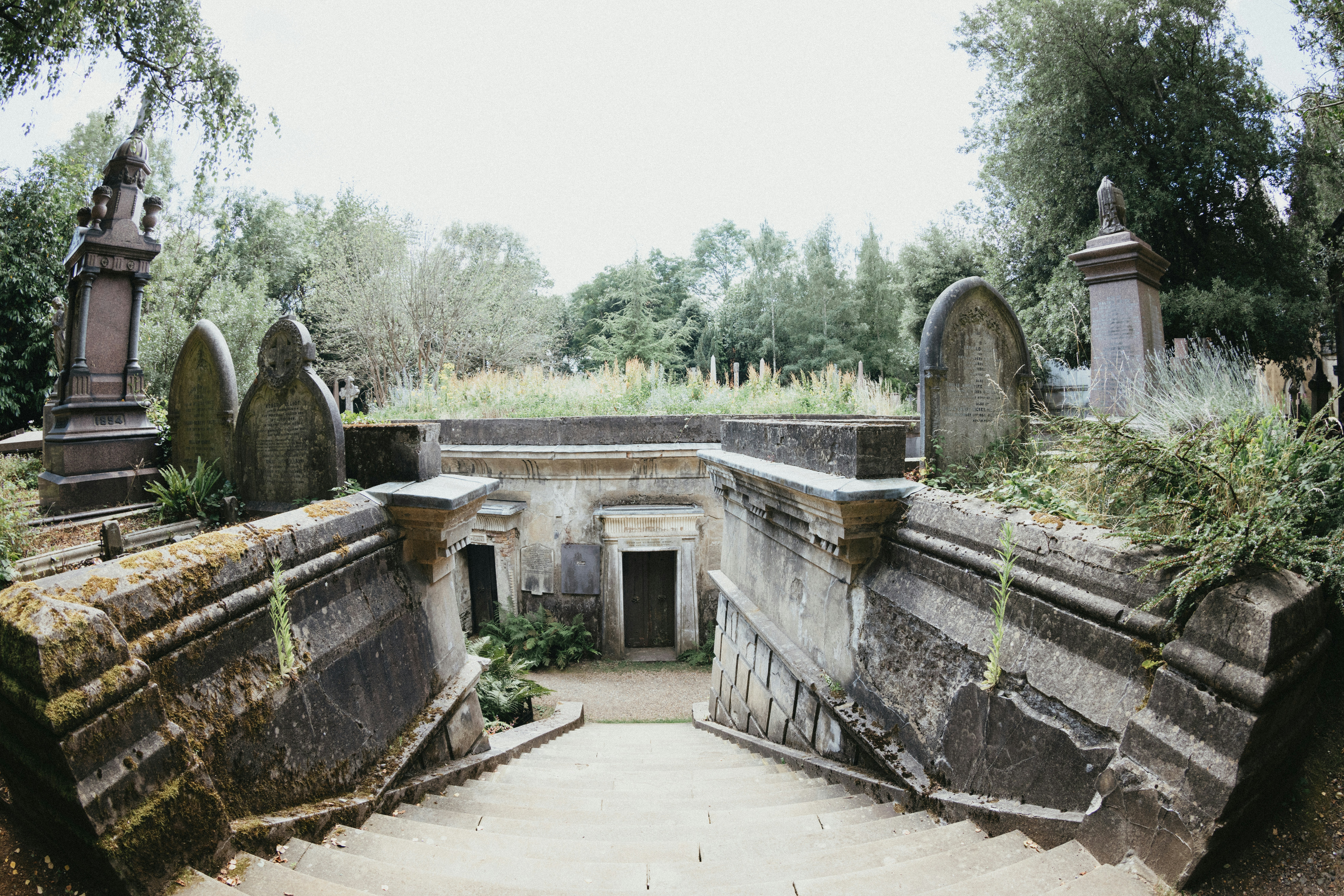 Photo by anniespratt