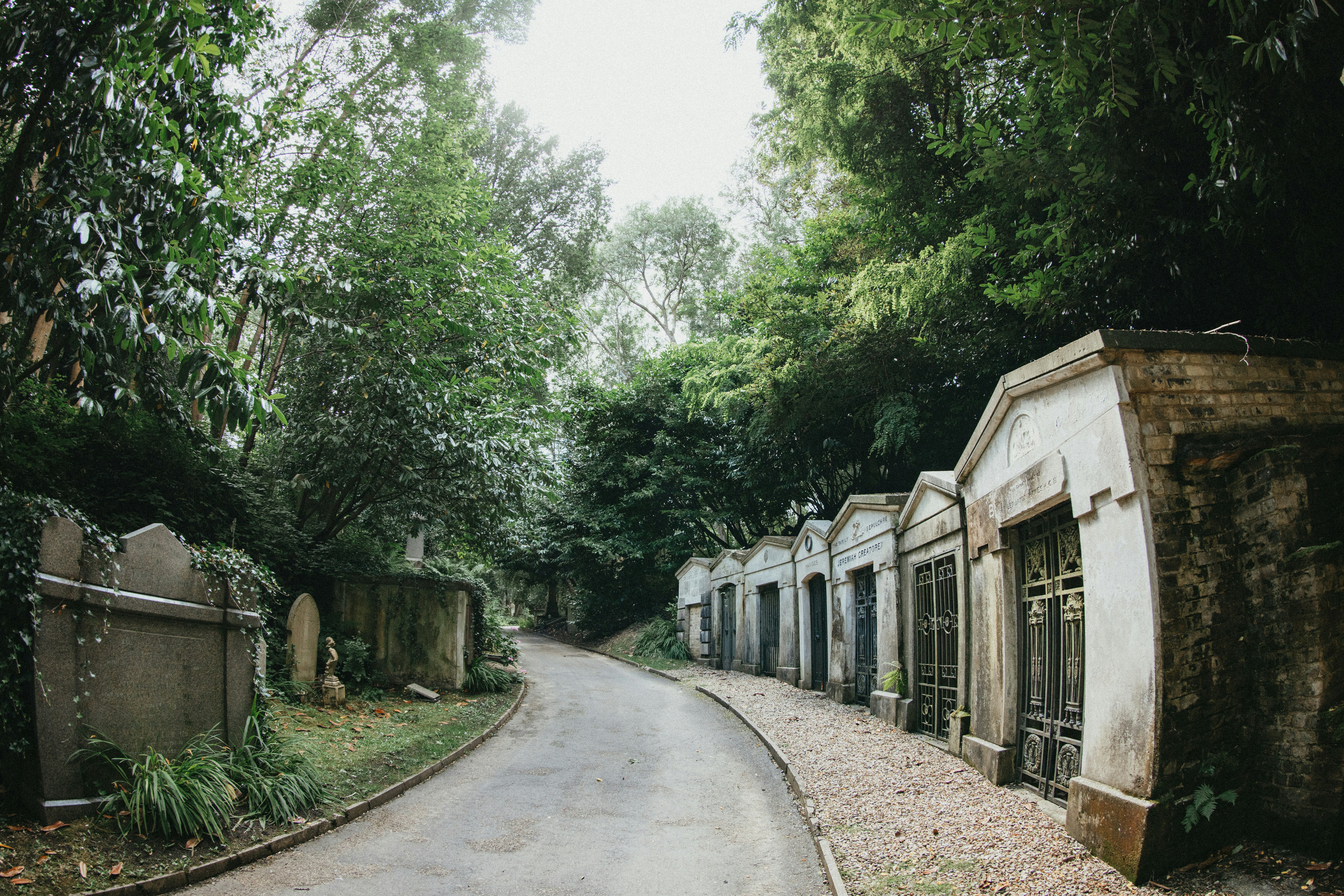 A row of houses sitting on the side of a road