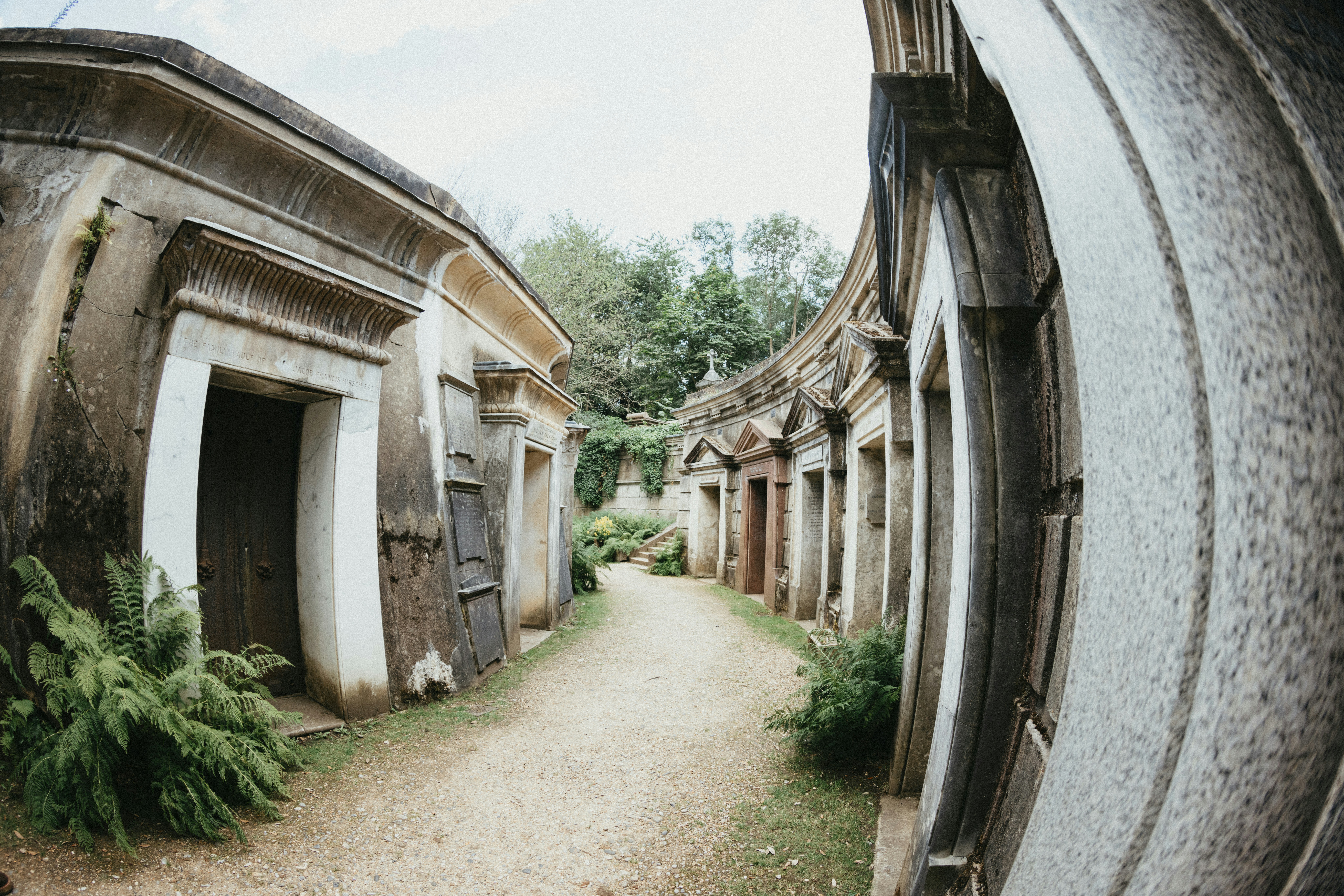 Photo by anniespratt