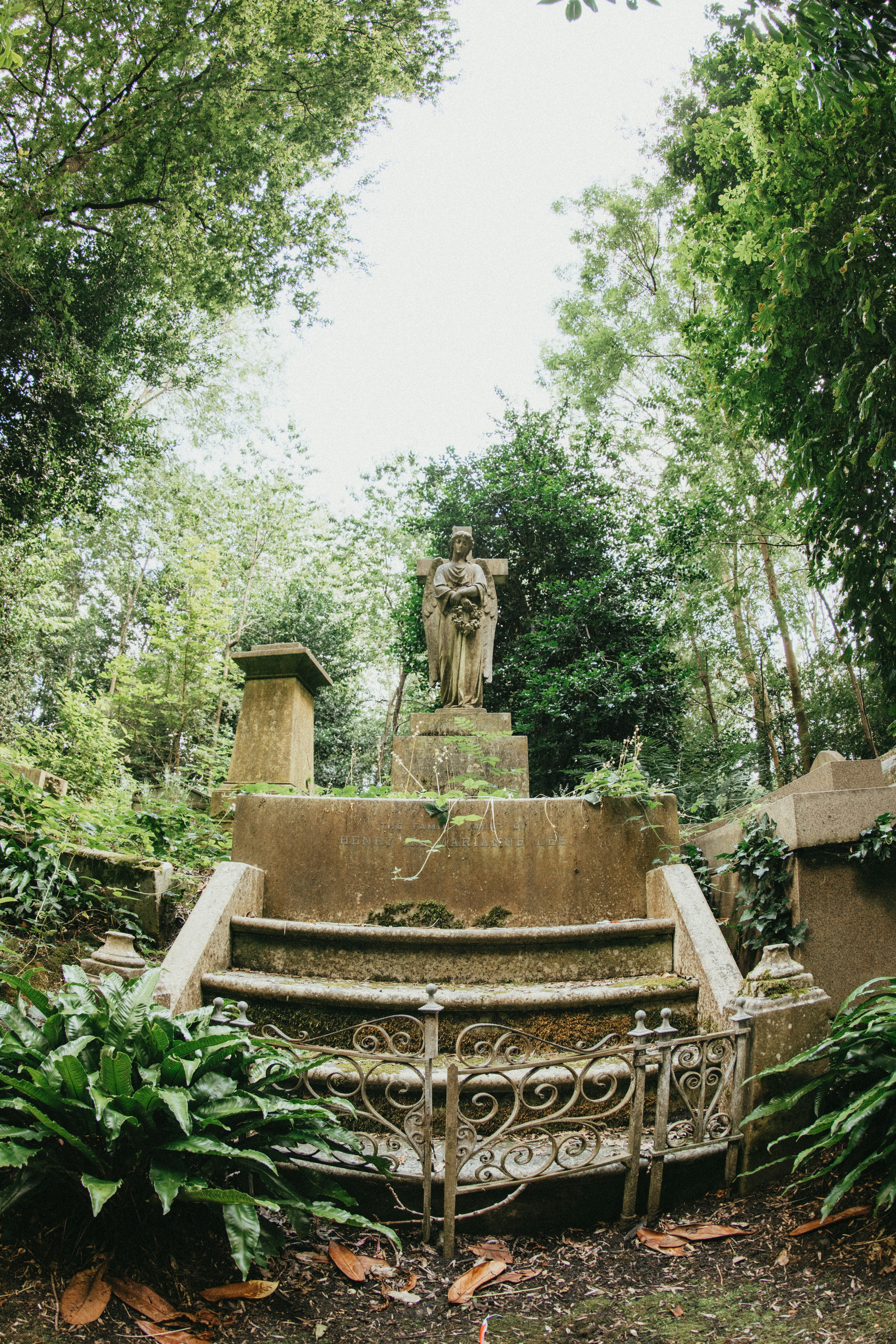 Photo by anniespratt