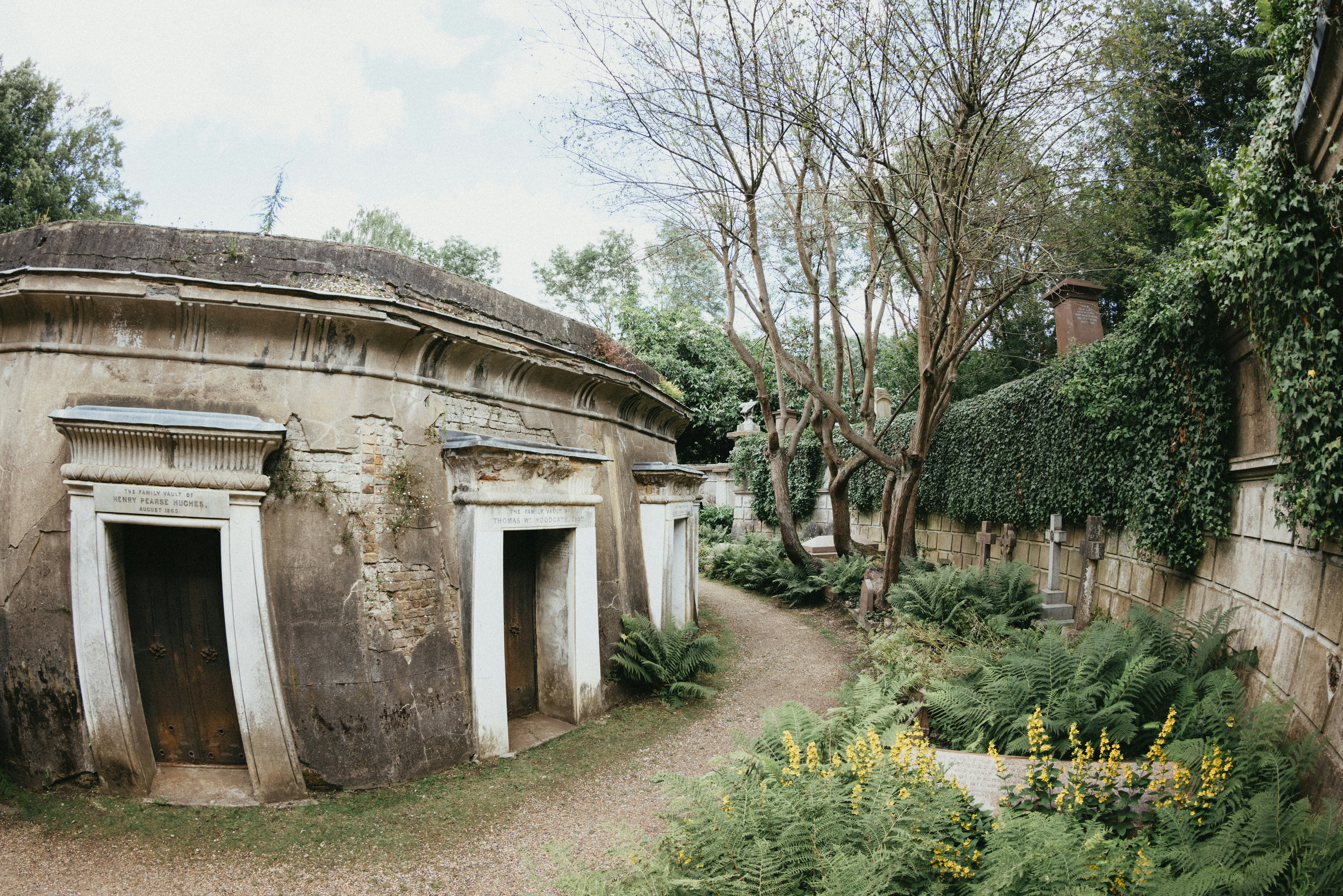 Photo by anniespratt