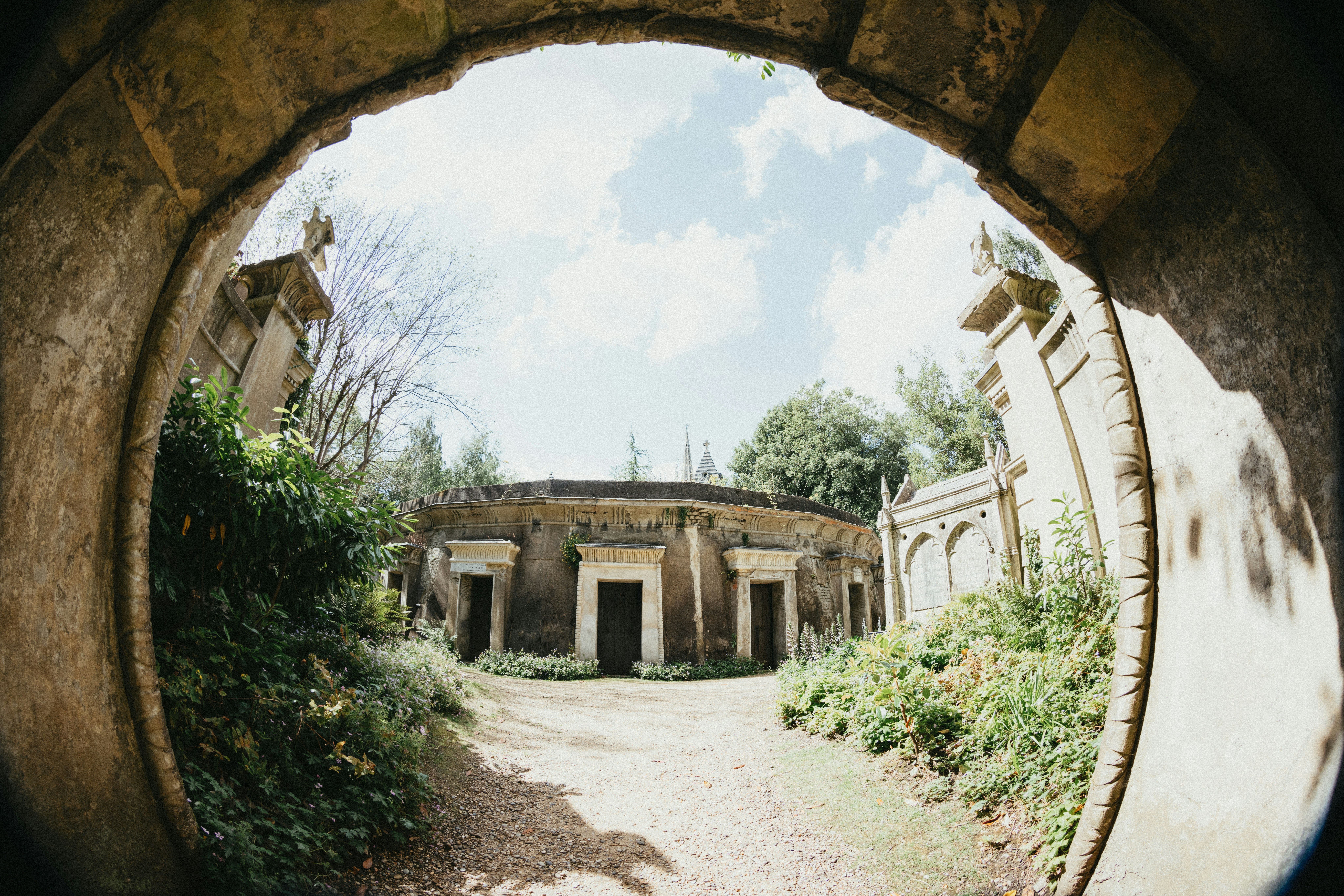 Photo by anniespratt