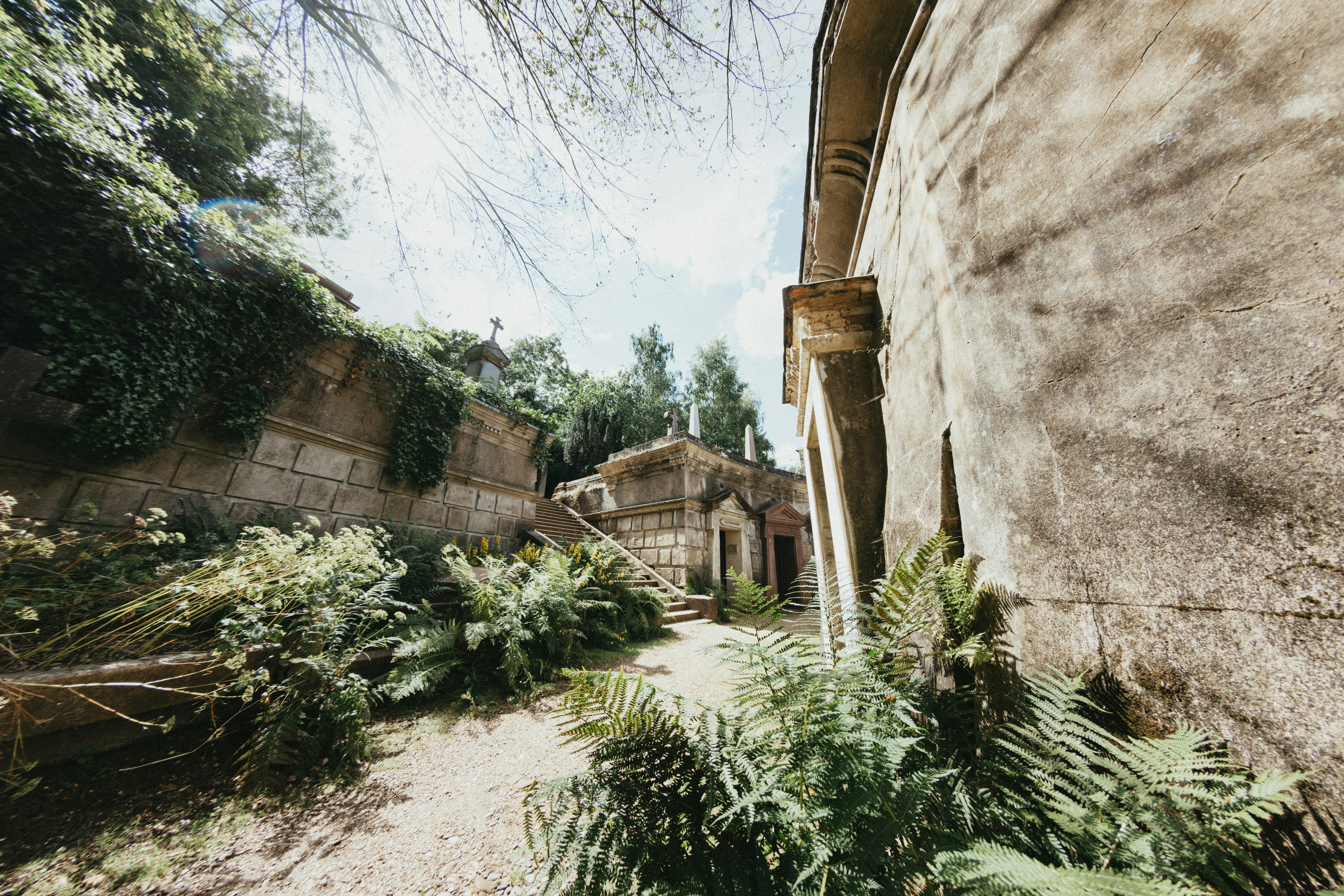 Photo by anniespratt