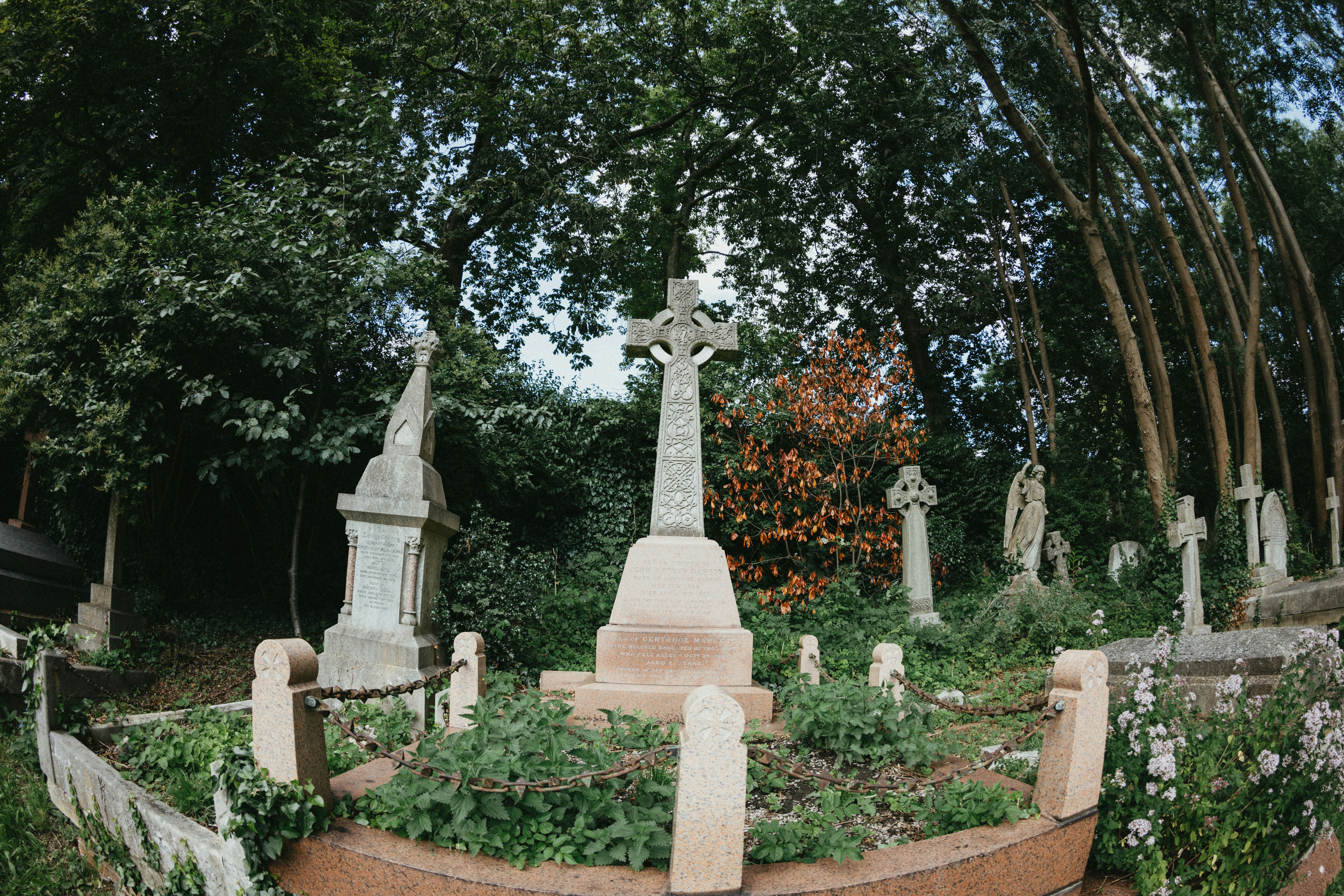 A cemetery filled with lots of tombstones and trees