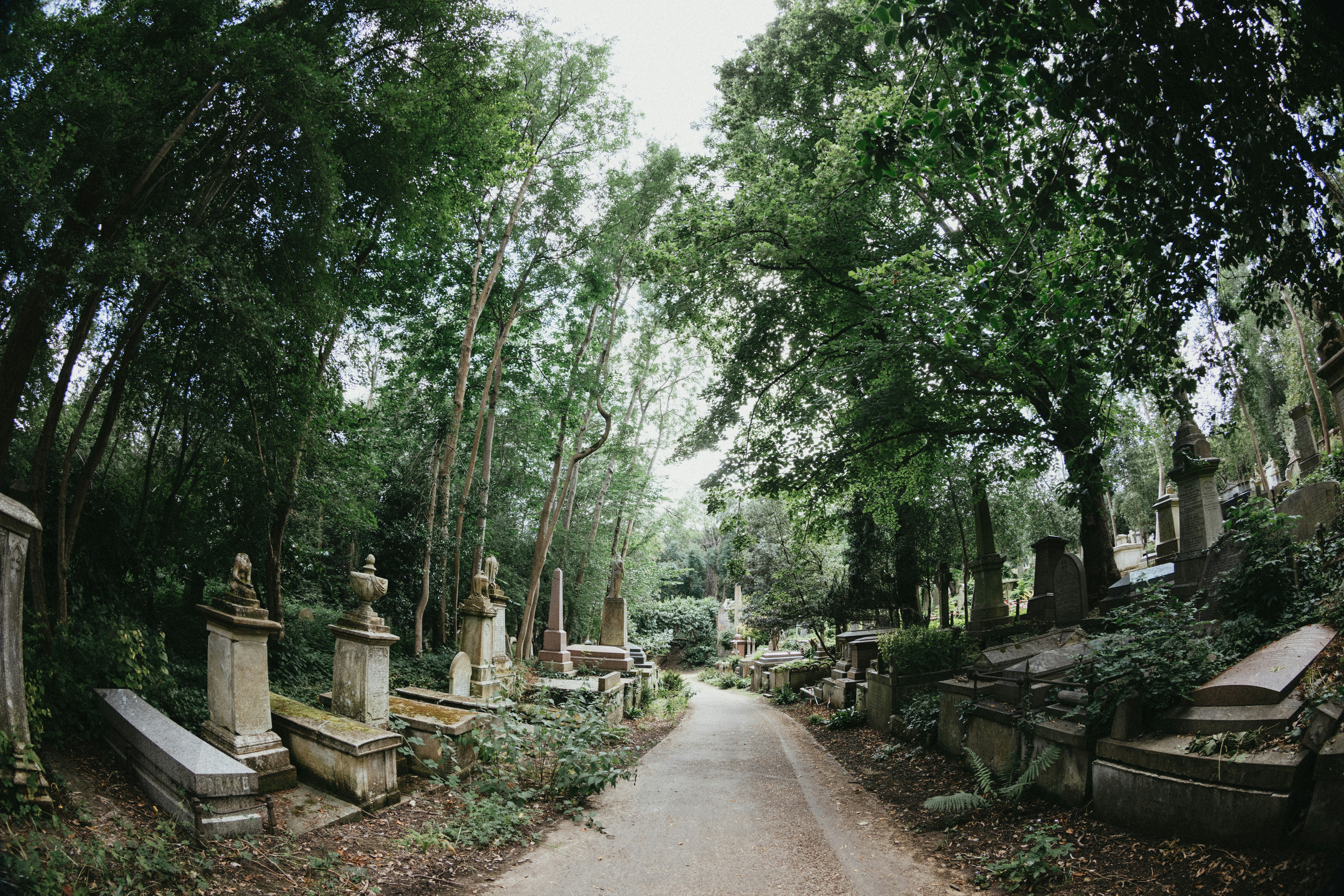 A cemetery with many headstones and trees