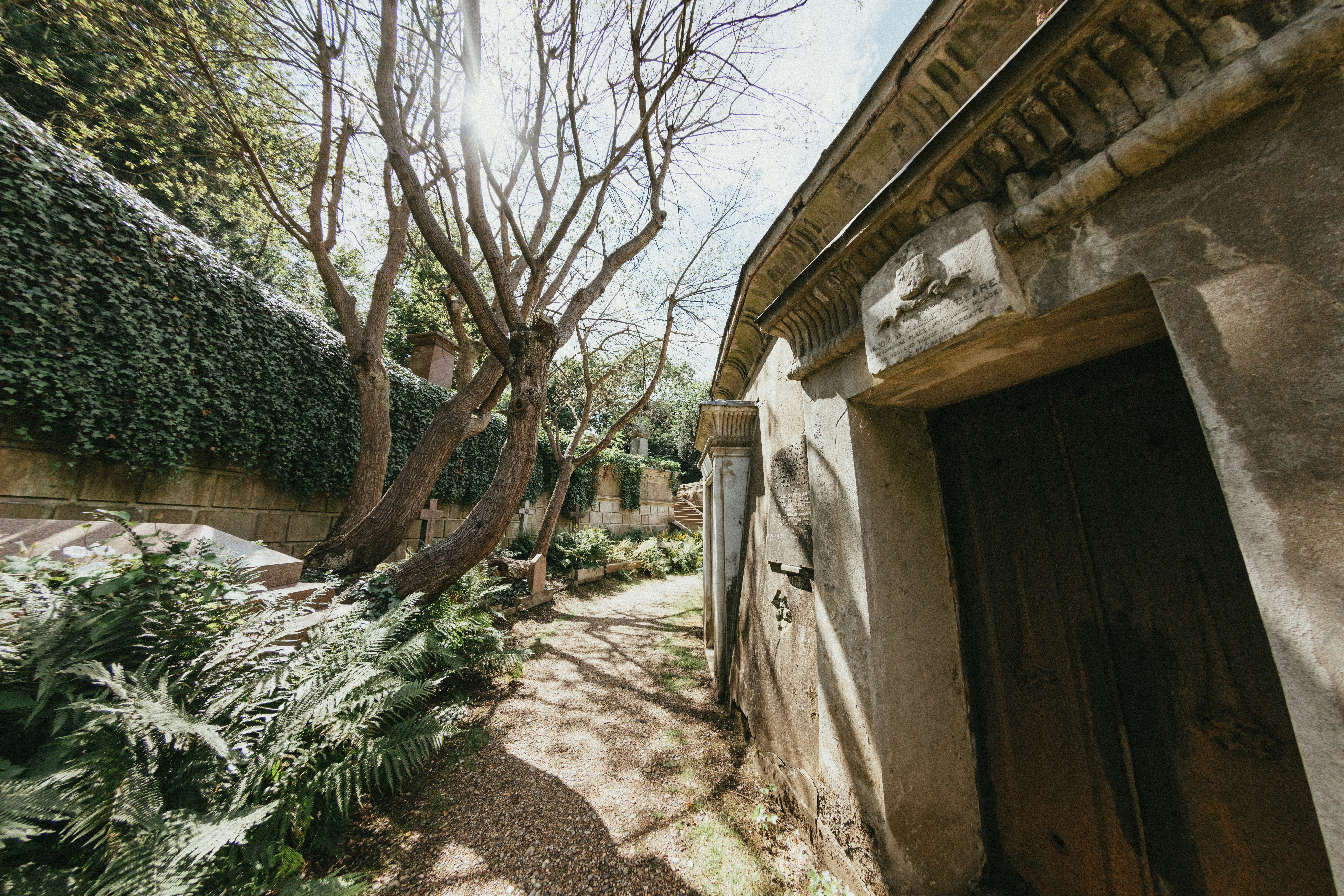 Photo by anniespratt