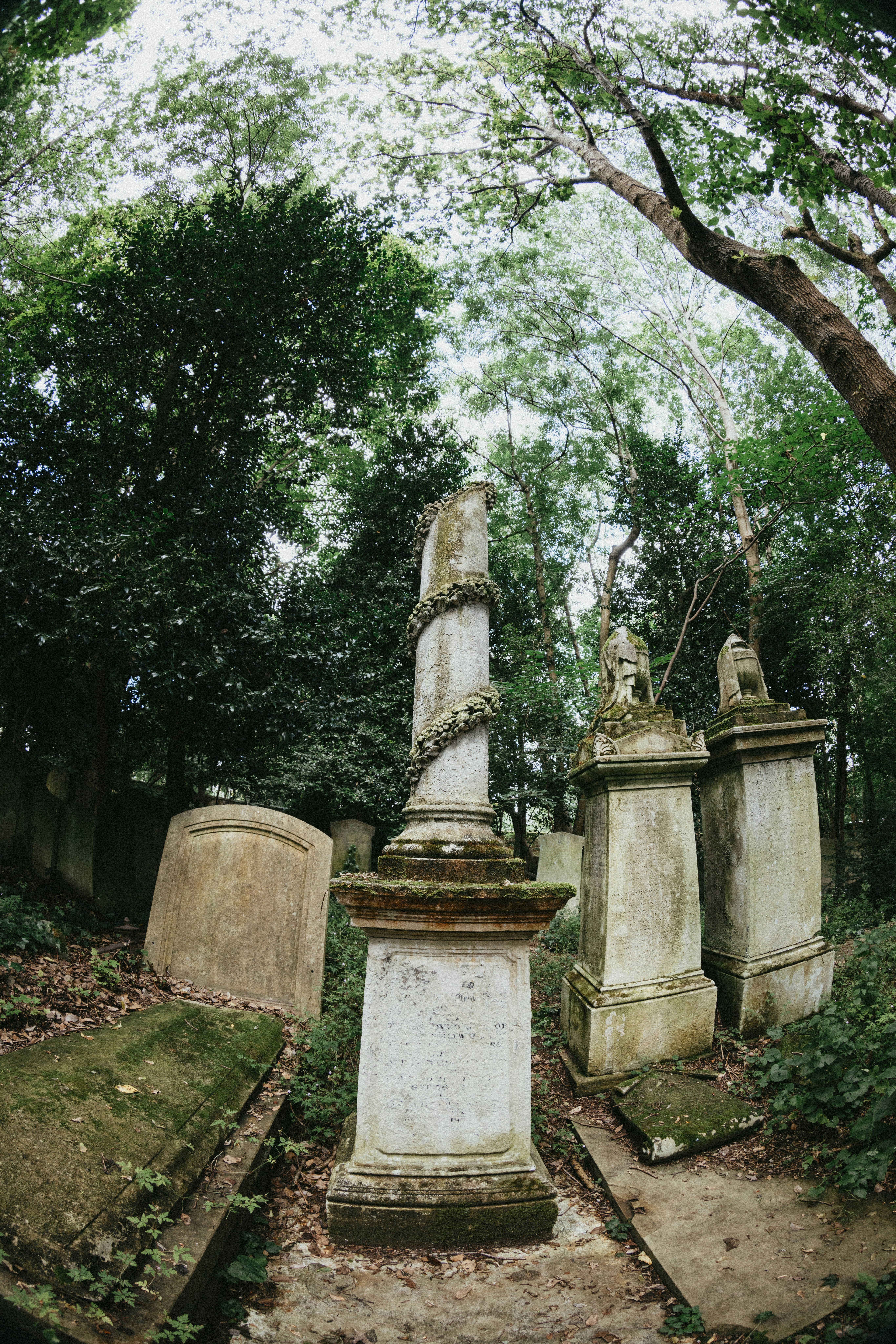 Photo by anniespratt