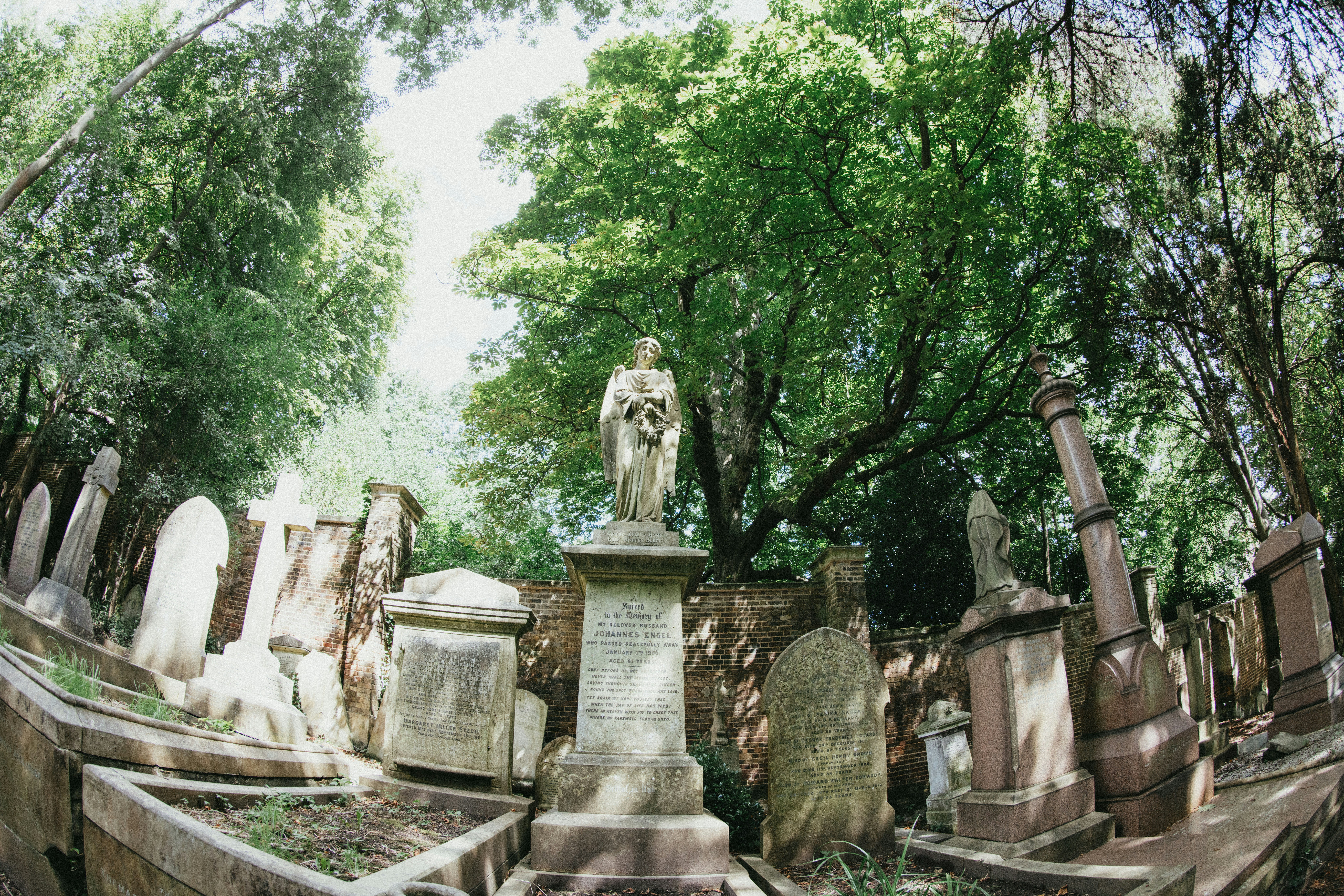 A cemetery filled with headstones and trees
