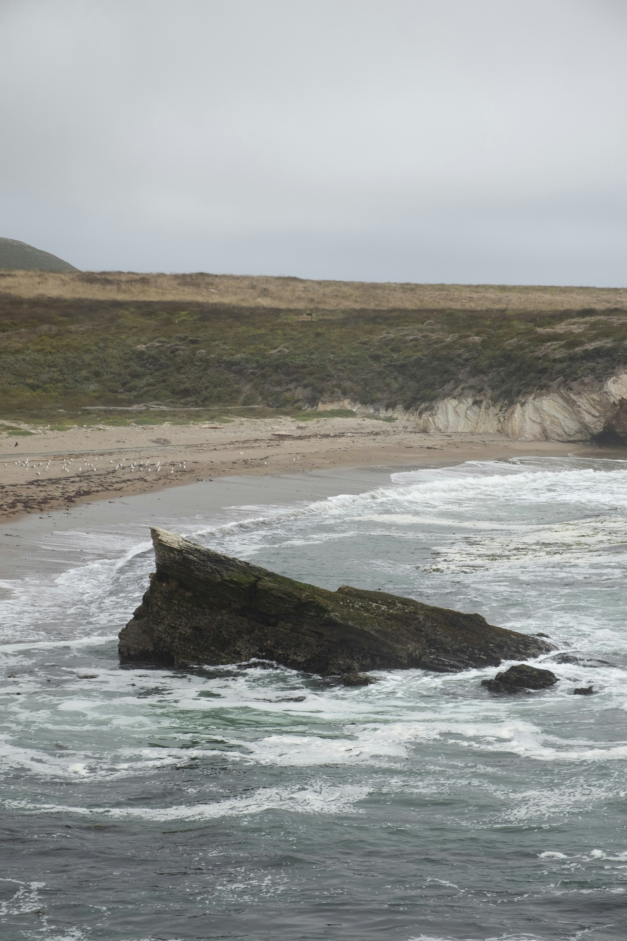 A large body of water next to a sandy beach