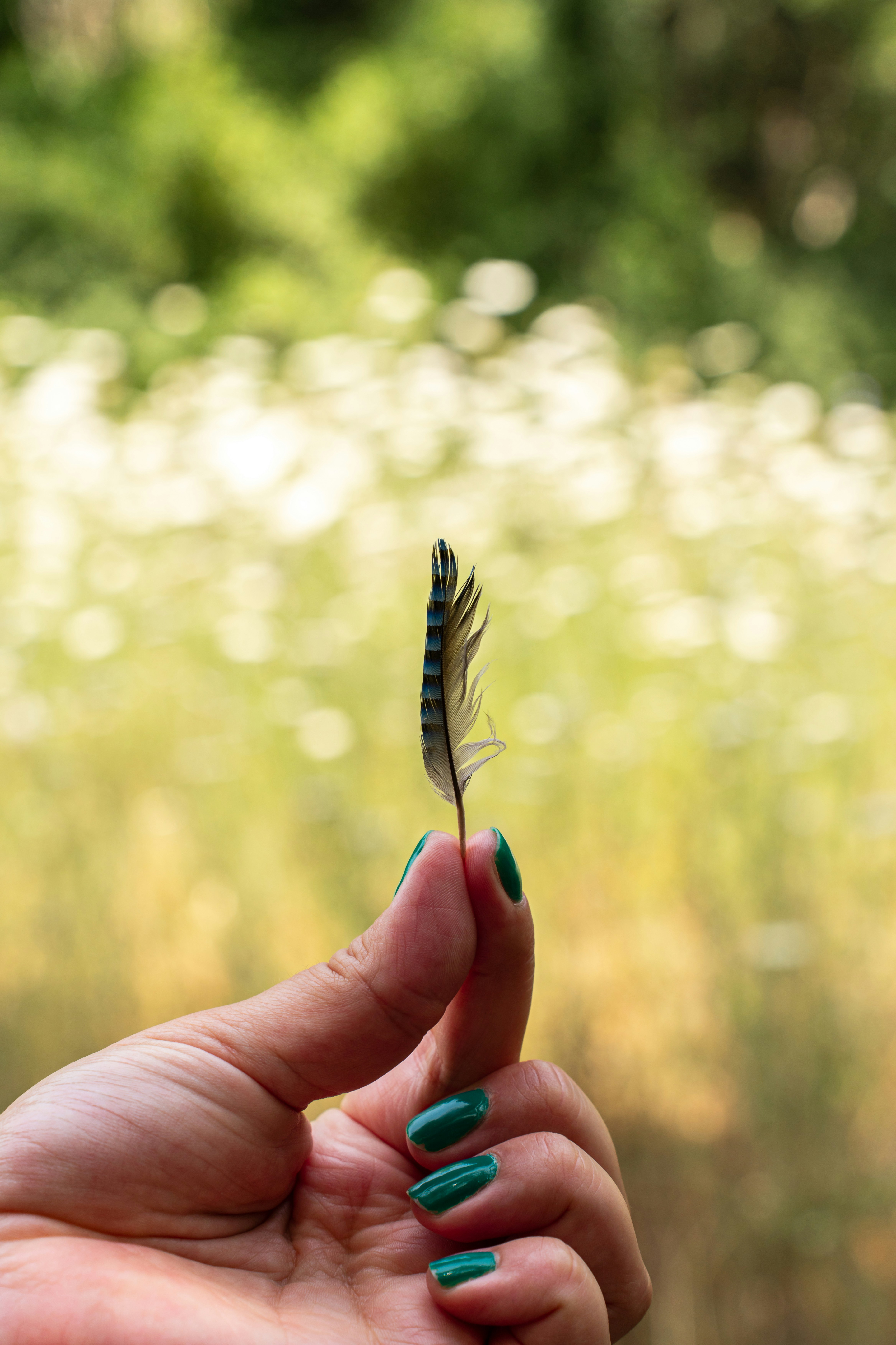 A person holding a small feather in their hand