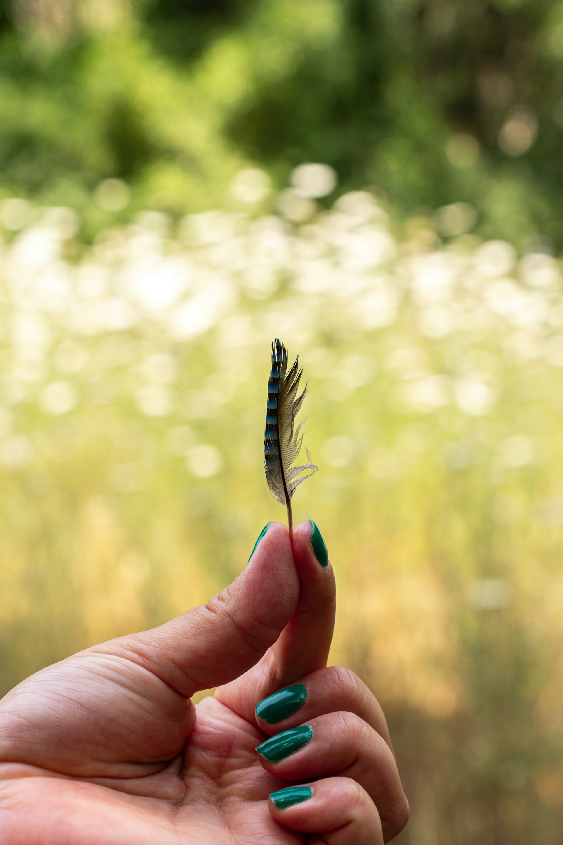 A person holding a small feather in their hand