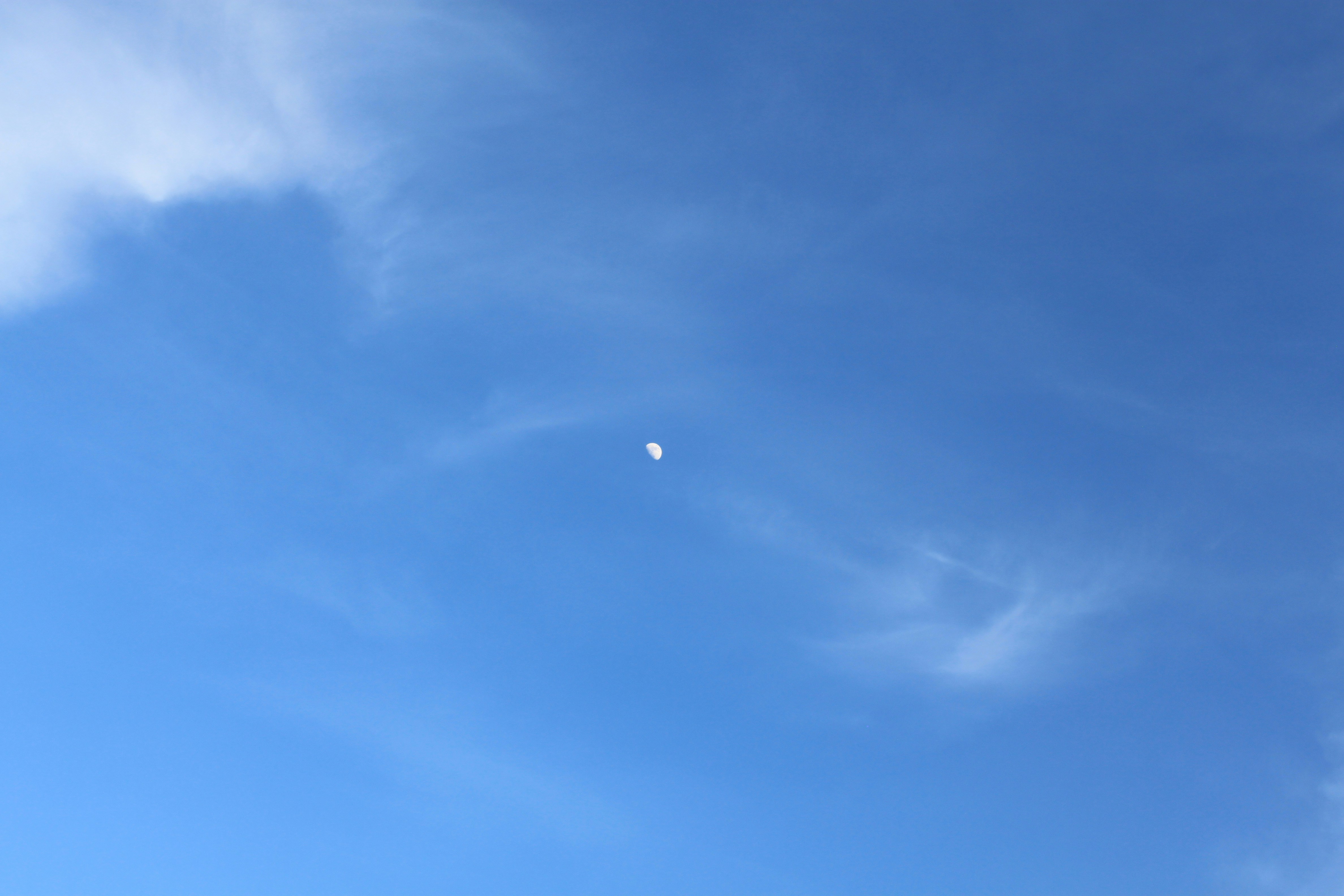 Photo by nina_novelo