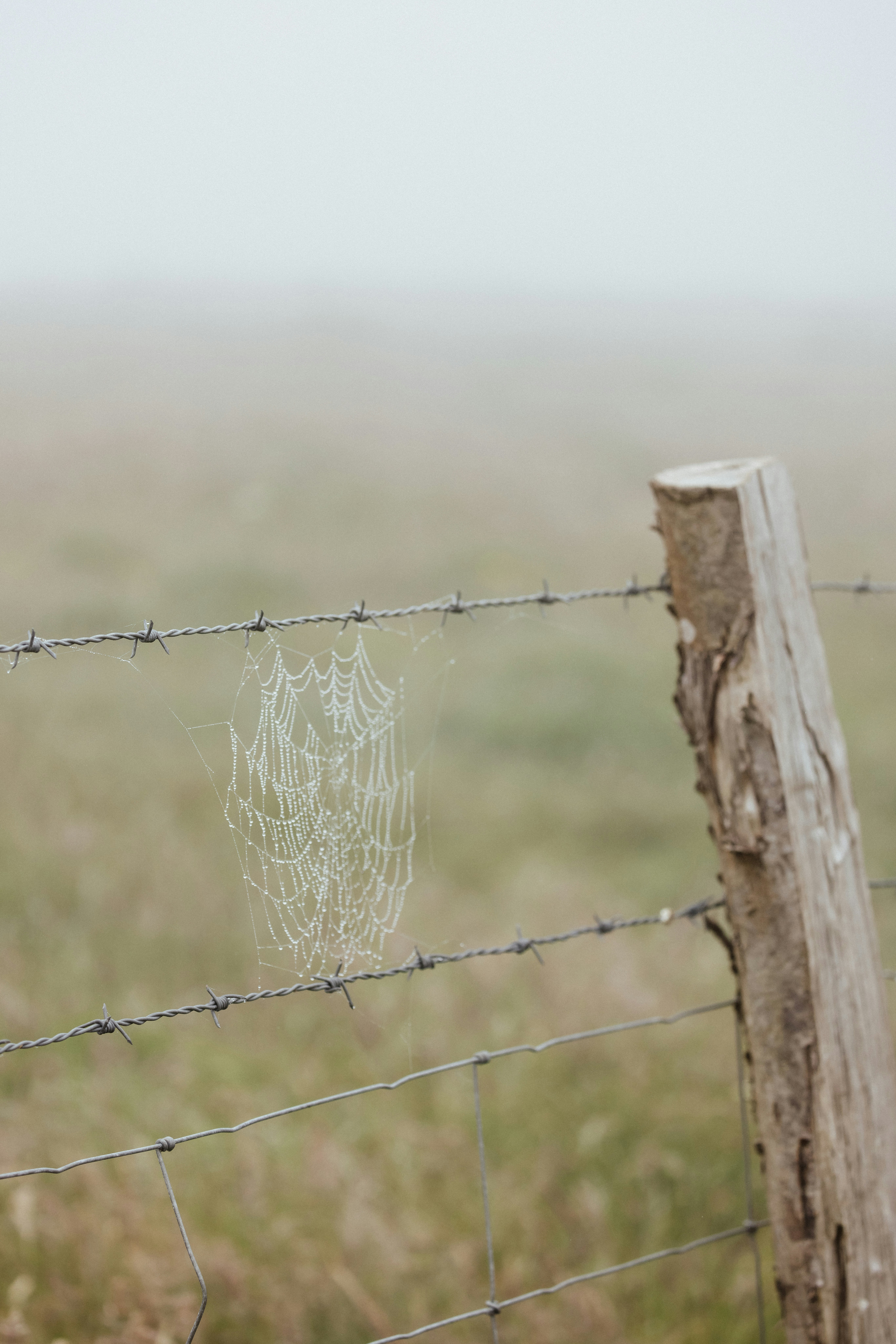 Photo by anniespratt