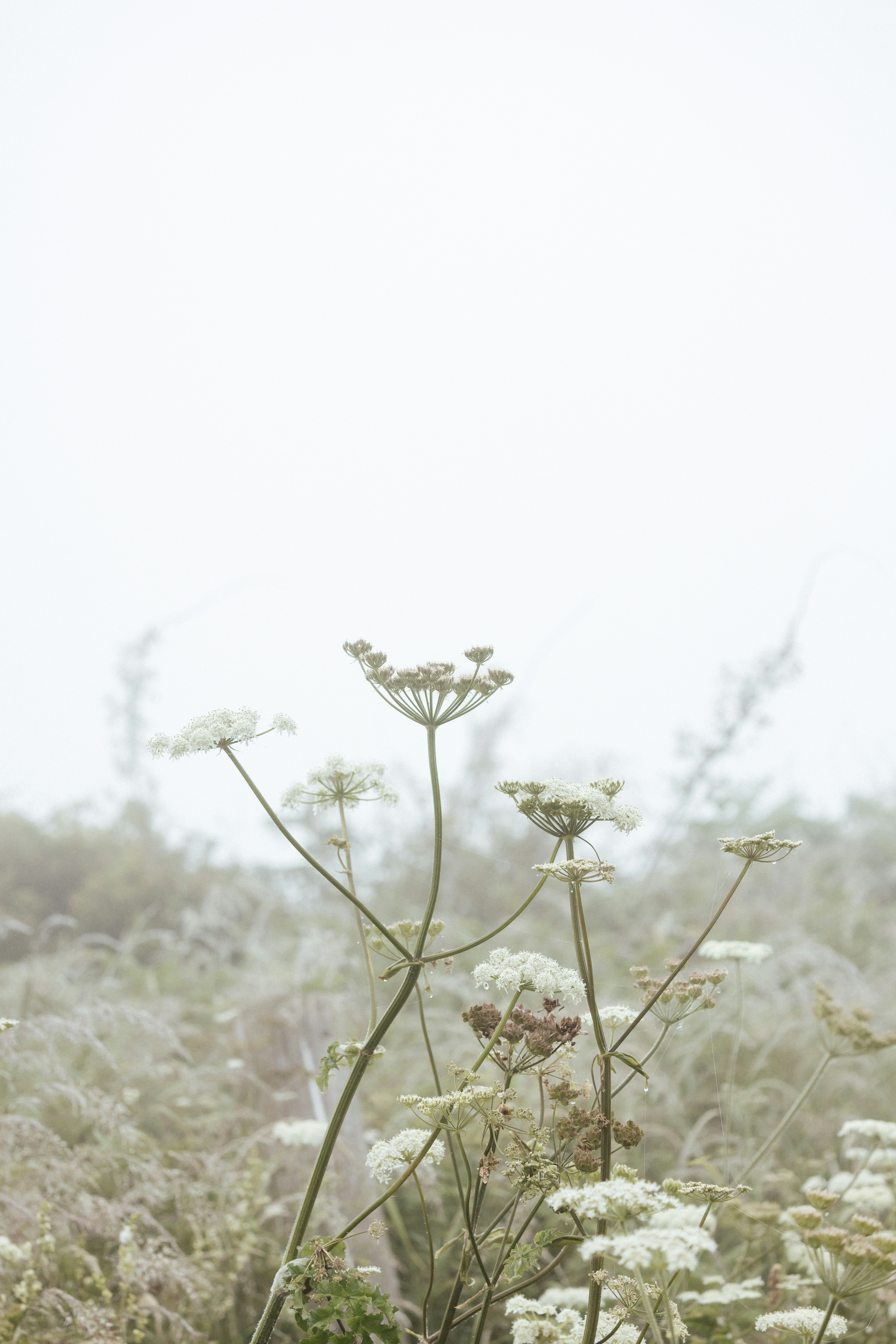 Photo by anniespratt