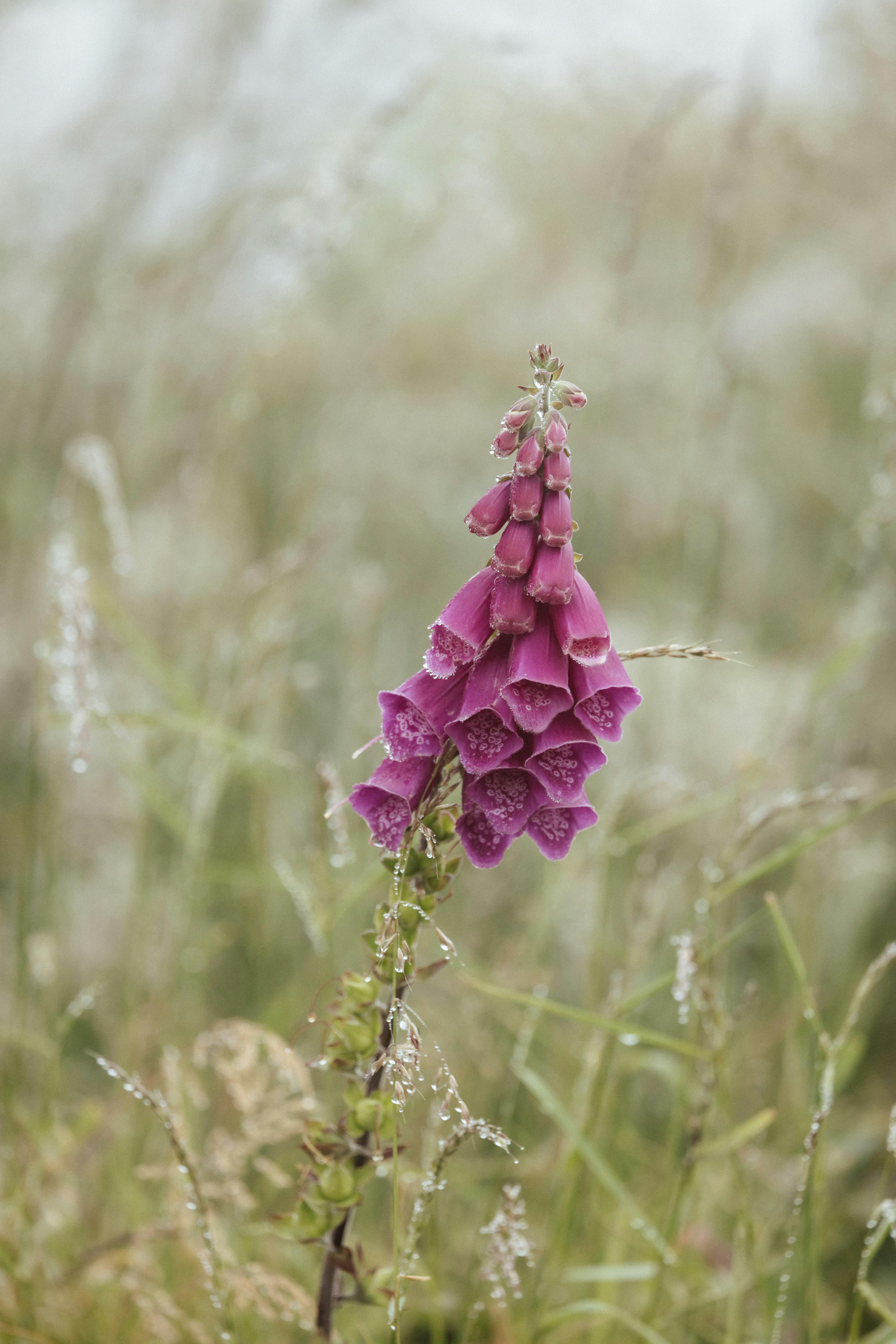 Photo by anniespratt