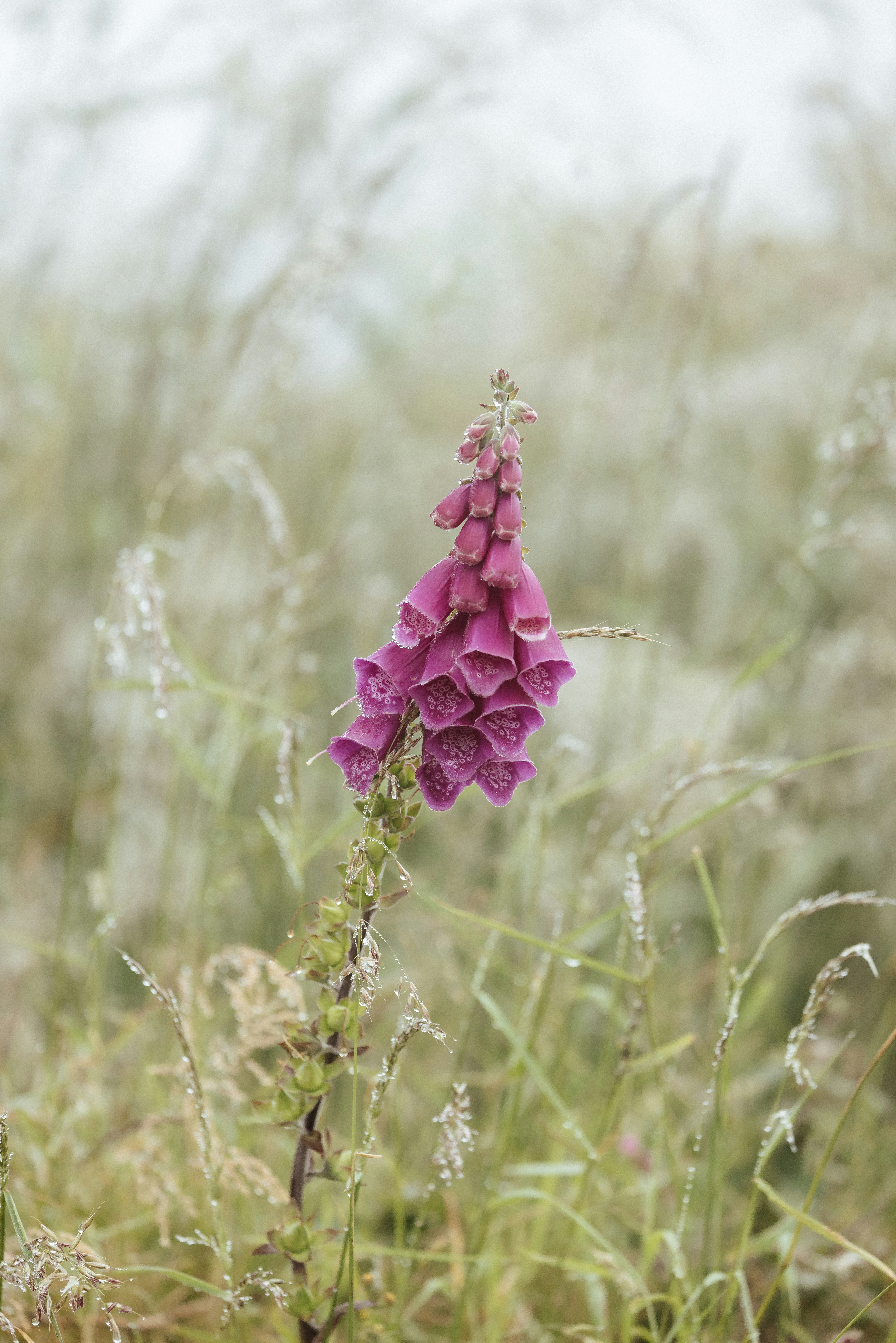 Photo by anniespratt