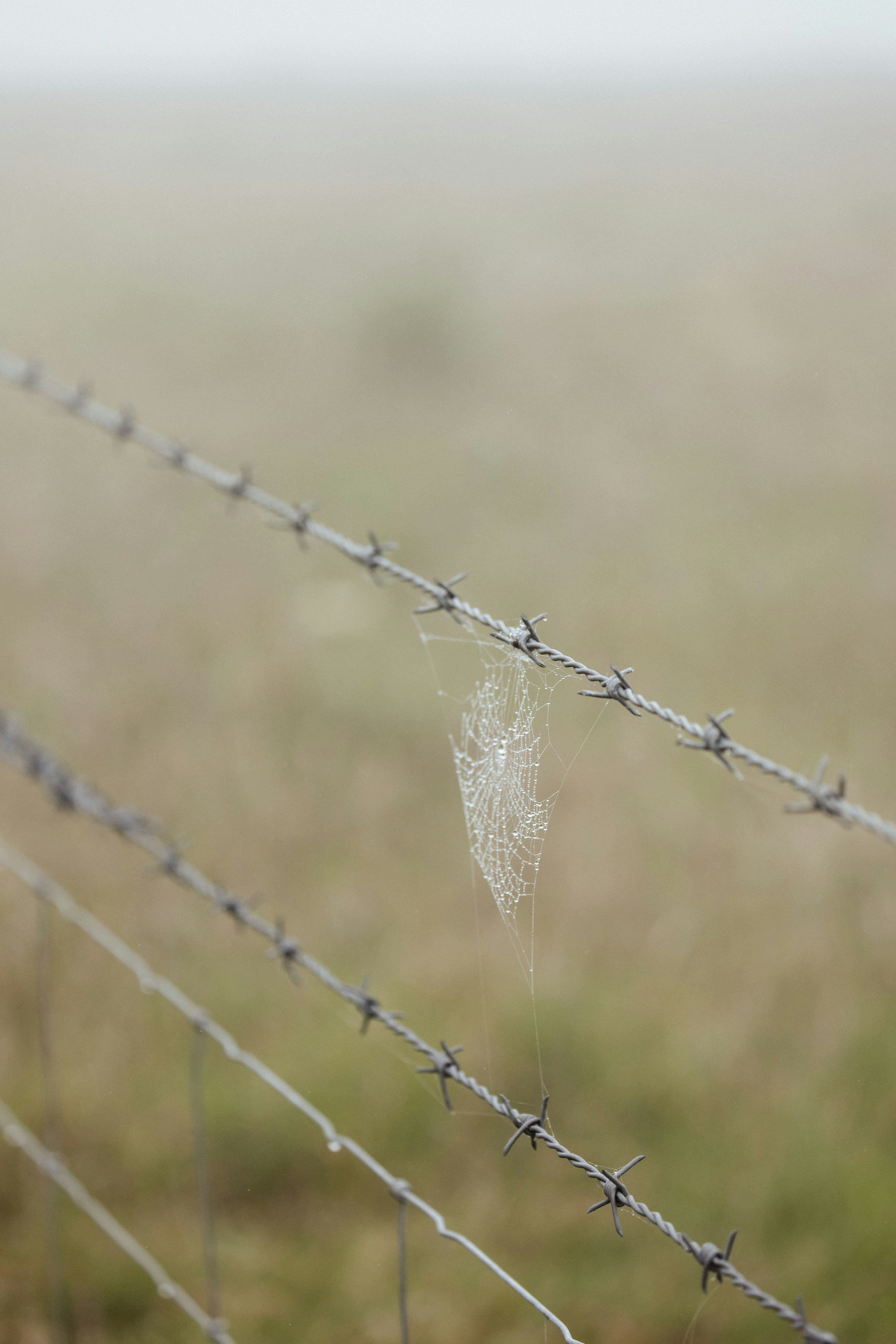 Photo by anniespratt