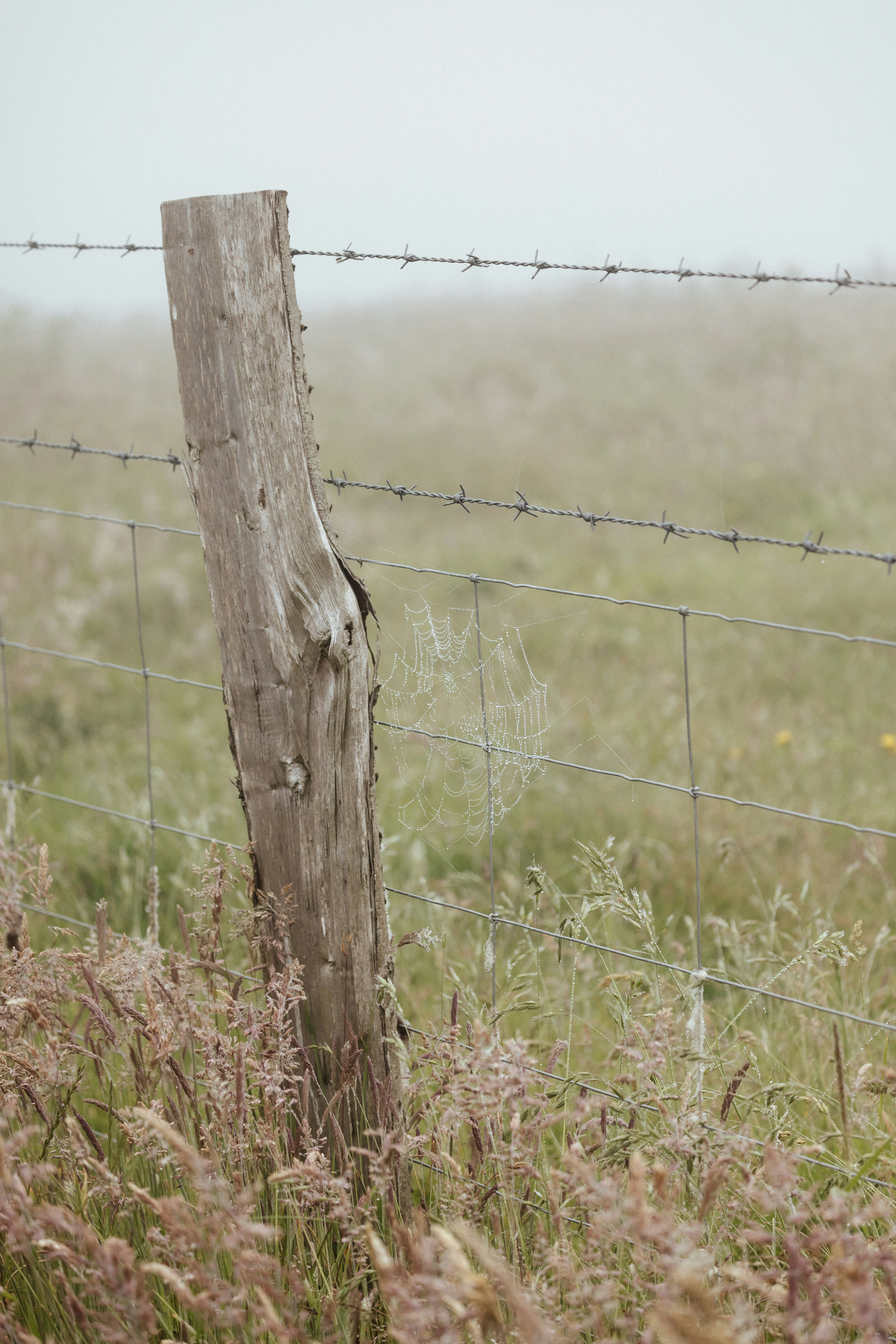 Photo by anniespratt