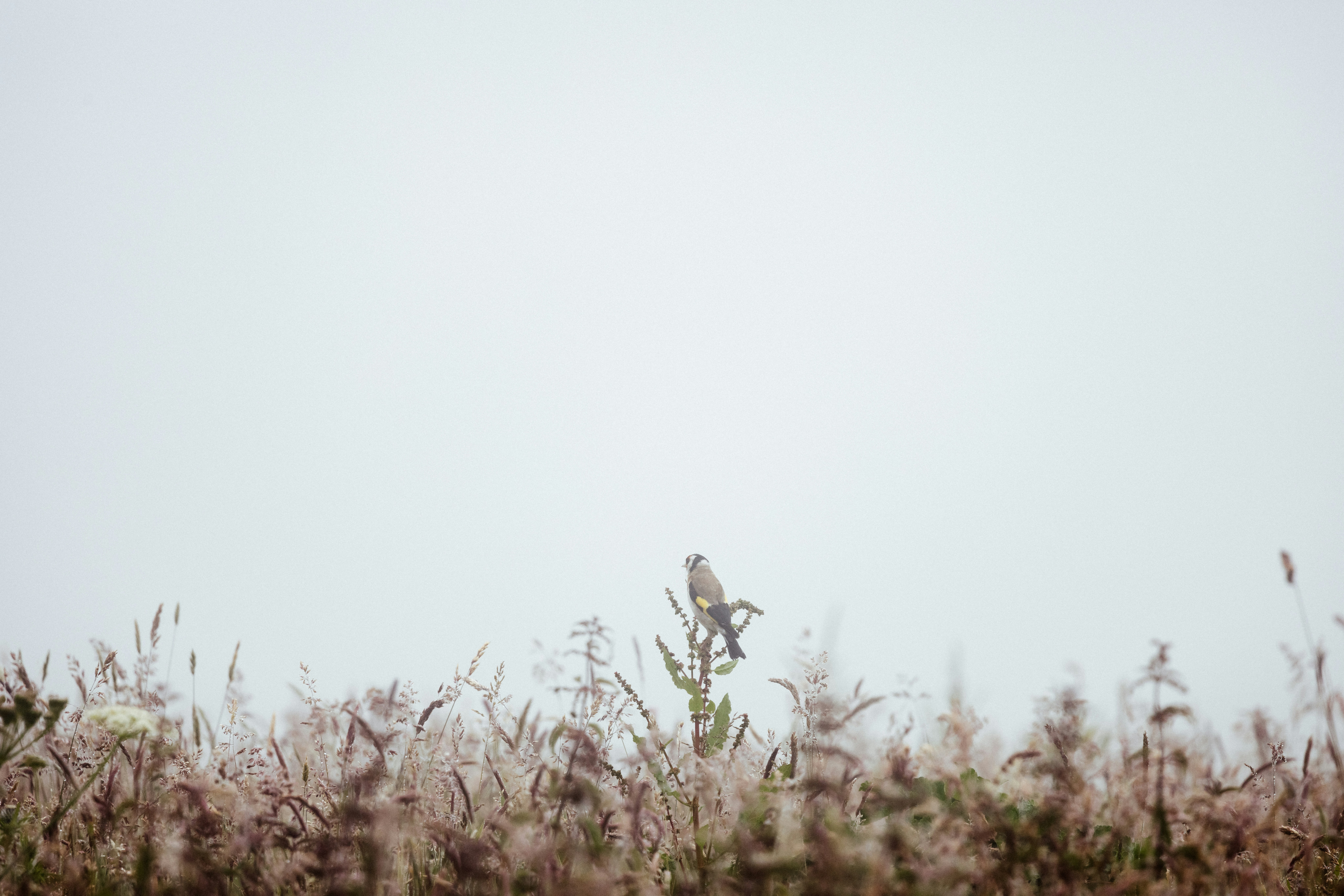 Photo by anniespratt