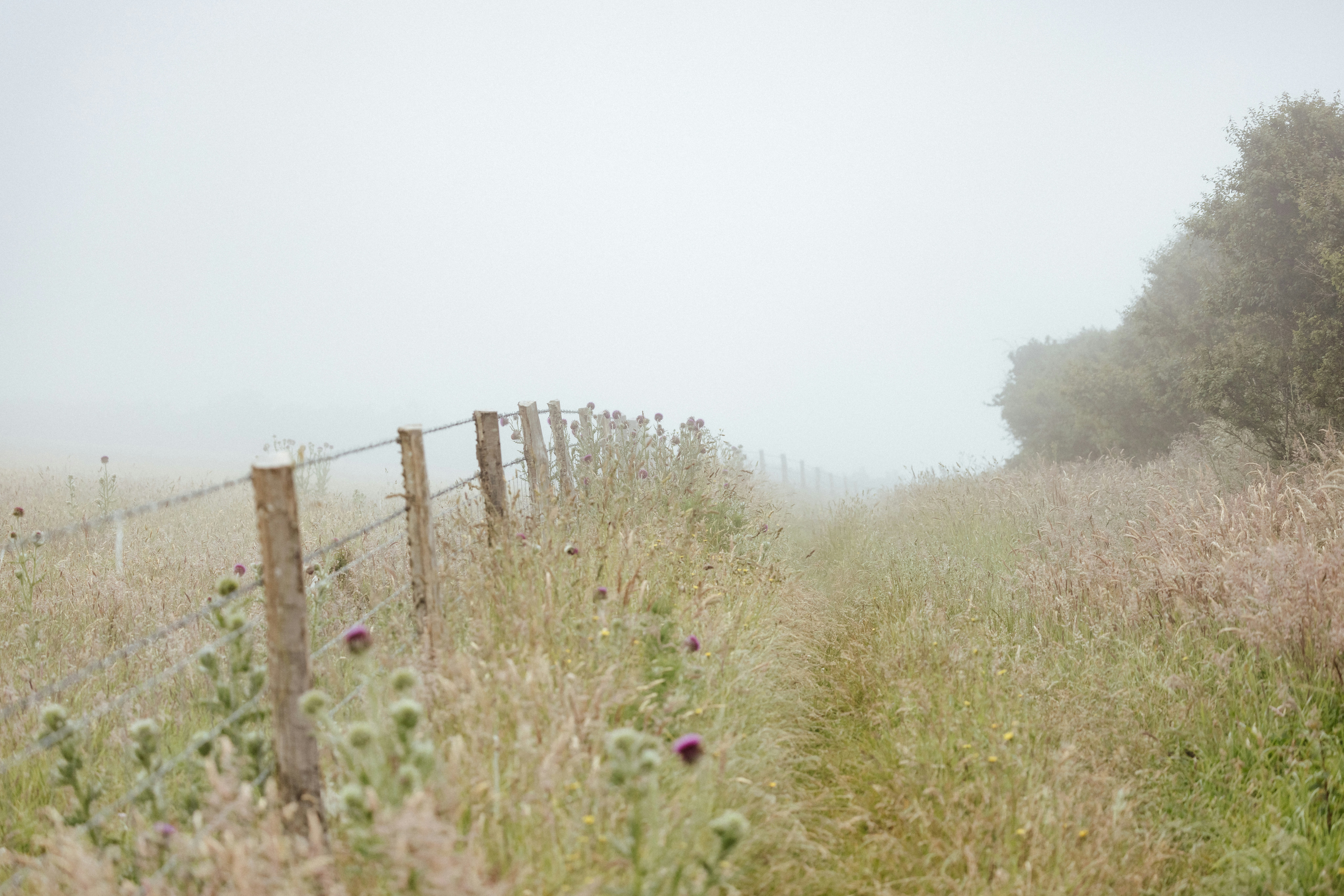 Photo by anniespratt