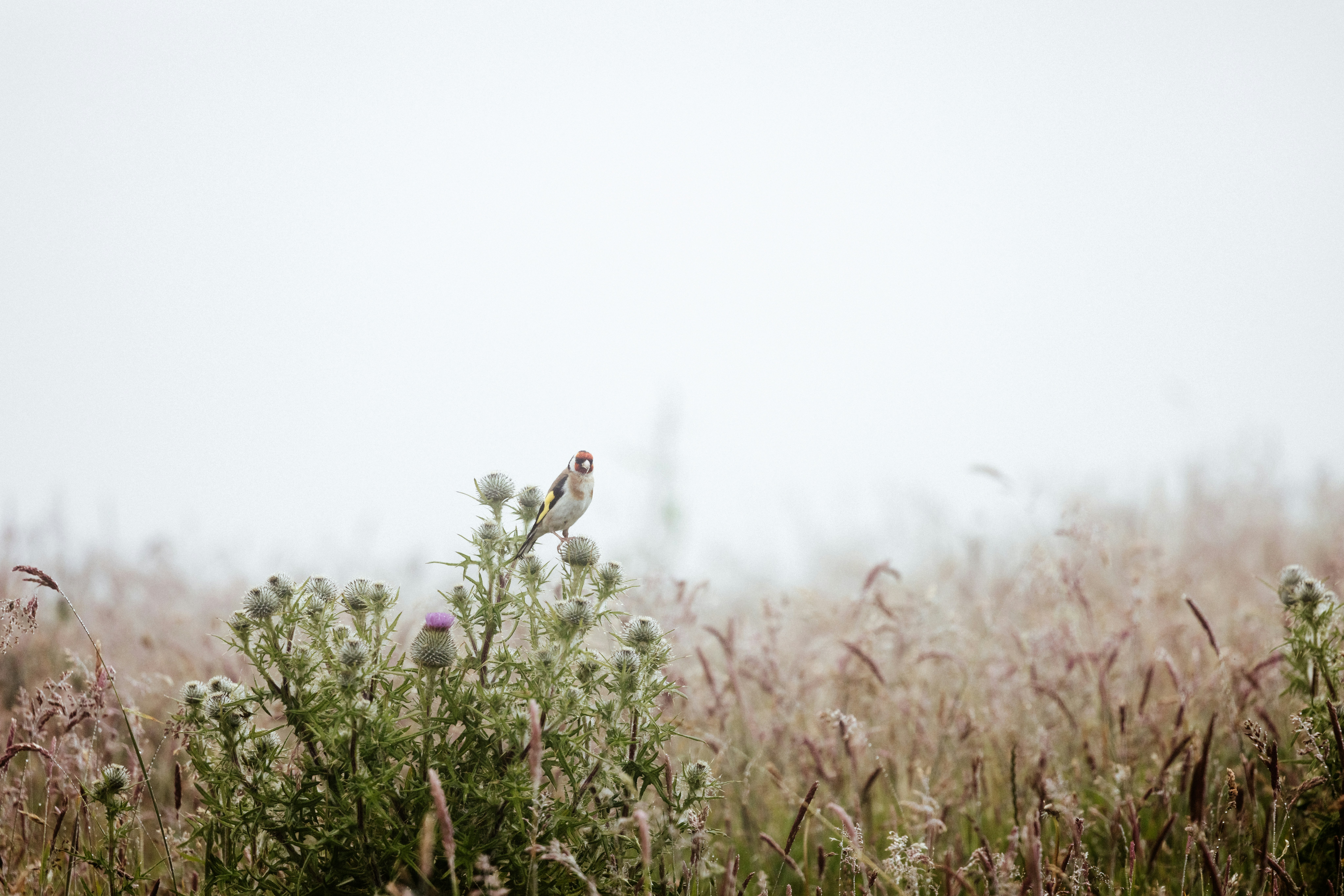 Photo by anniespratt