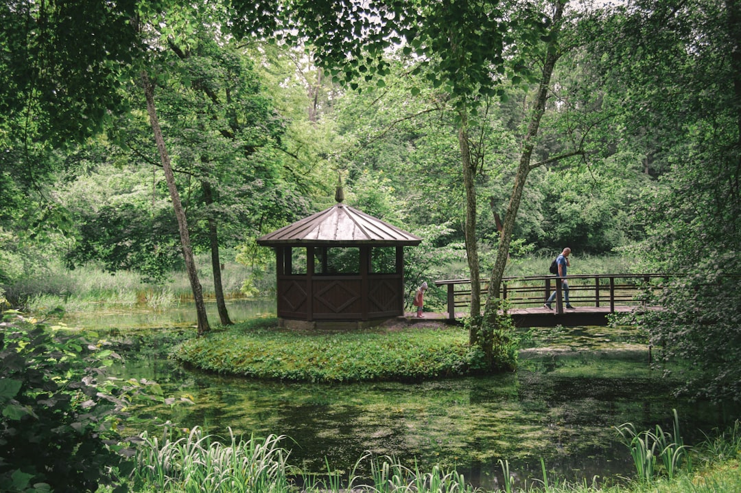 A gazebo in a park surrounded by trees,