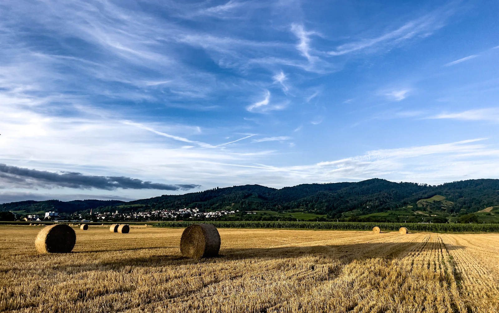 Hay bales drying in a Southern Tablelands paddock