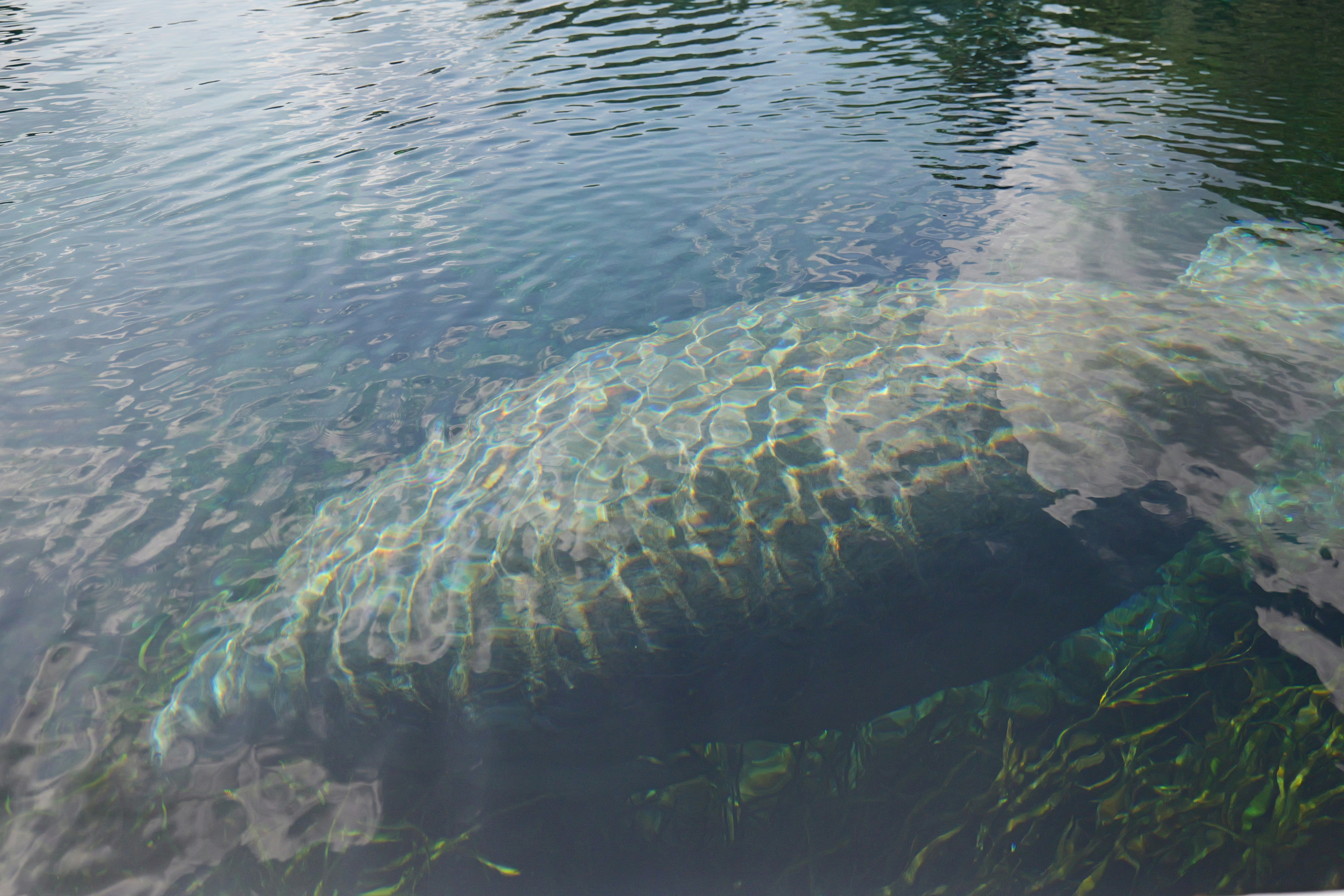 Photo by yejiangyang