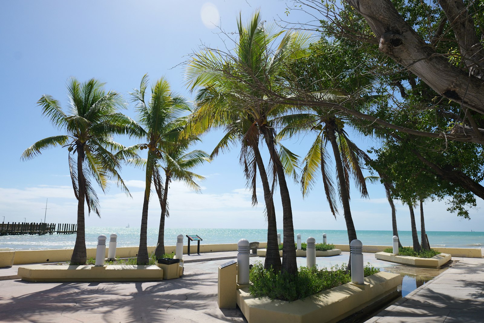 Palm trees framing a quiet beach in Key West
