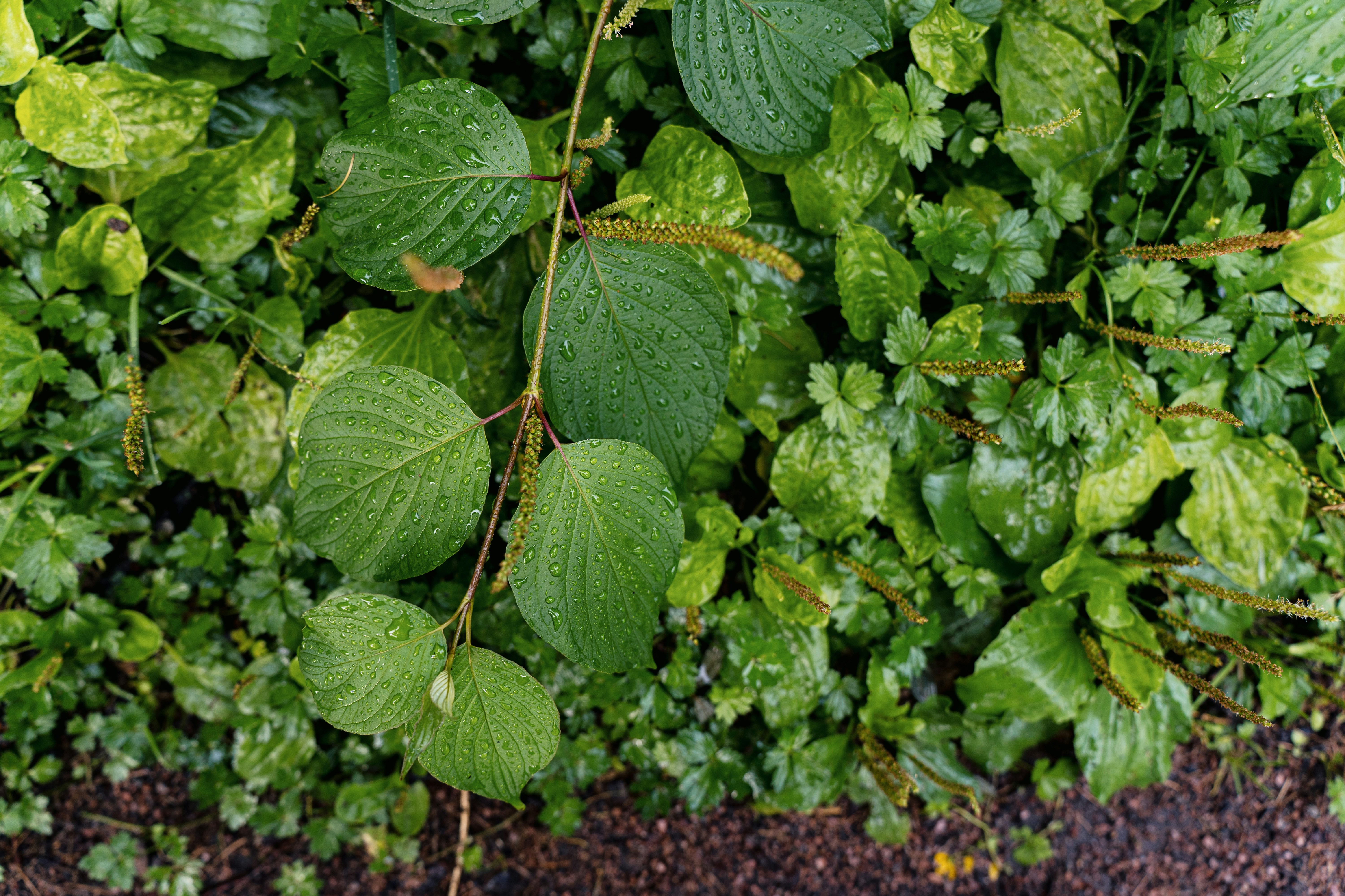 Photo by domozhilova_ph