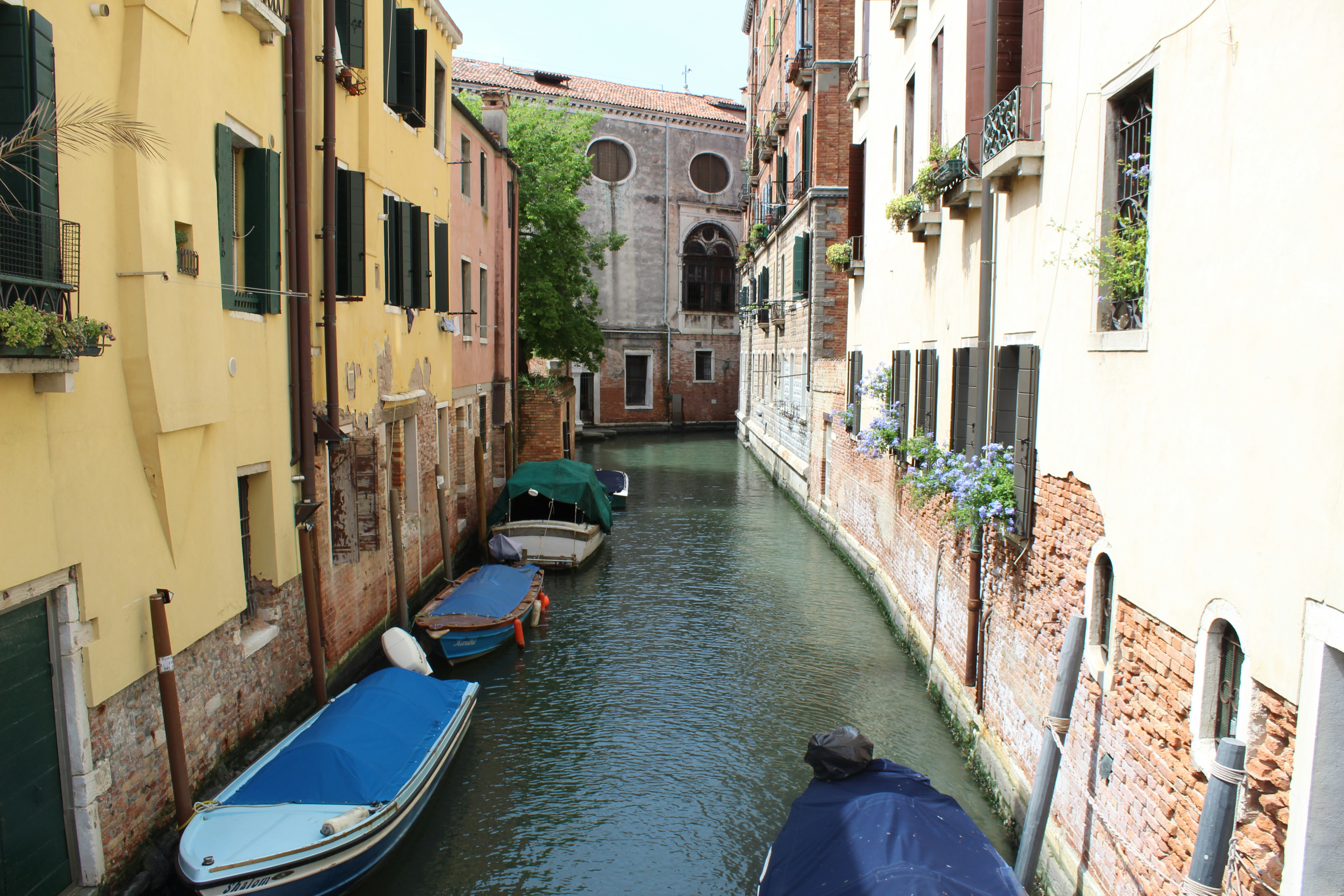 Photo by maximilian_swe