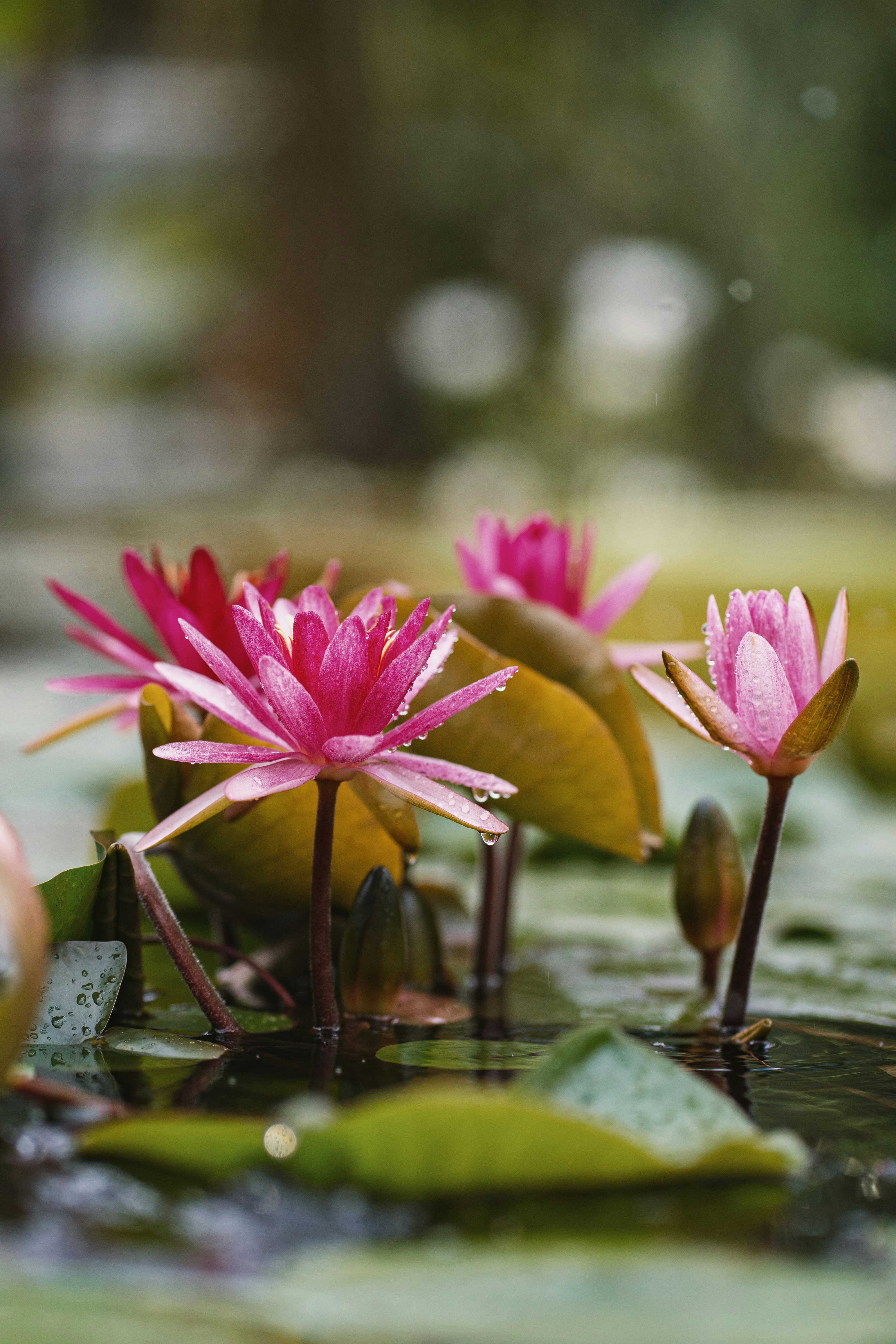 Photo by domozhilova_ph