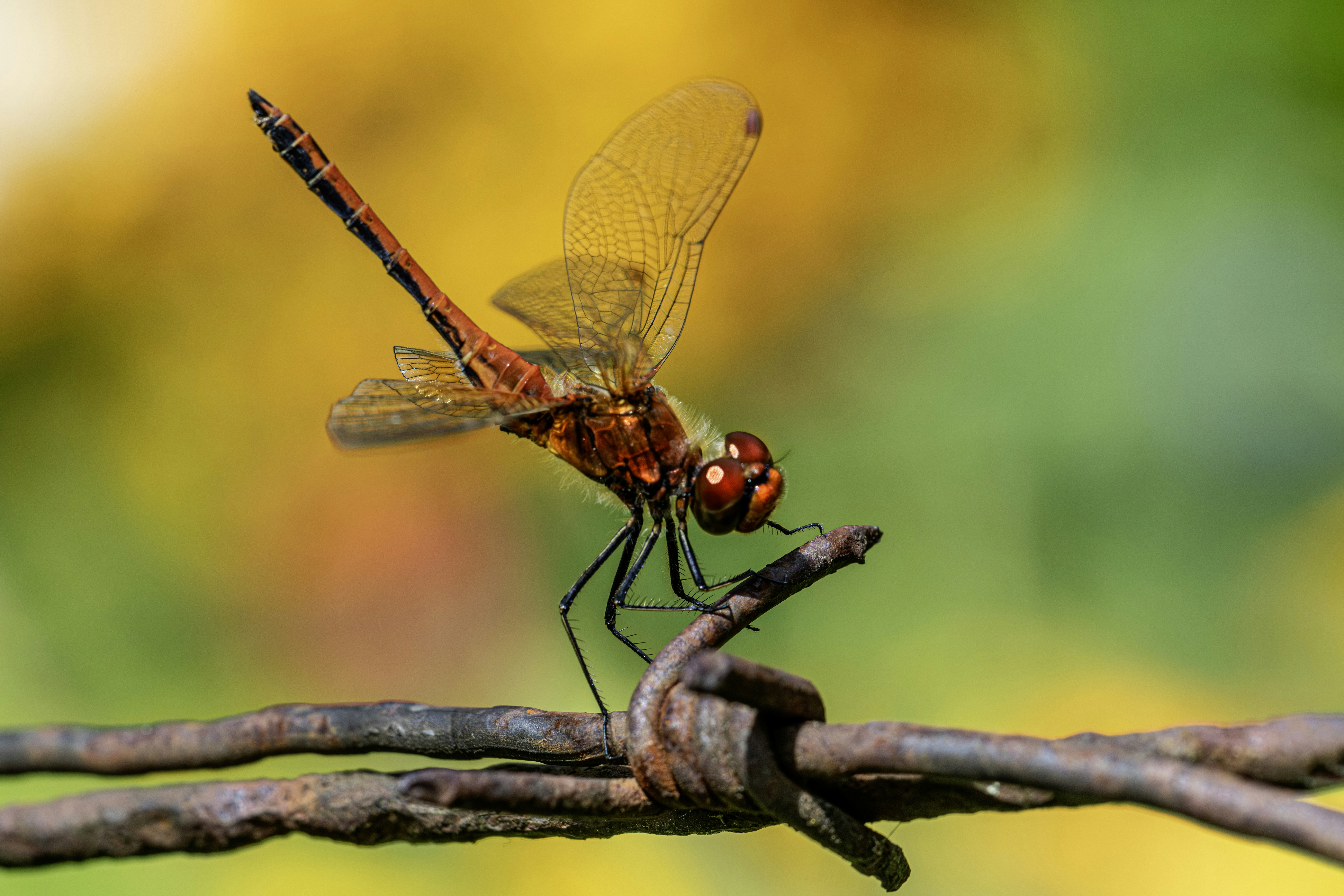 Photo by erik_karits