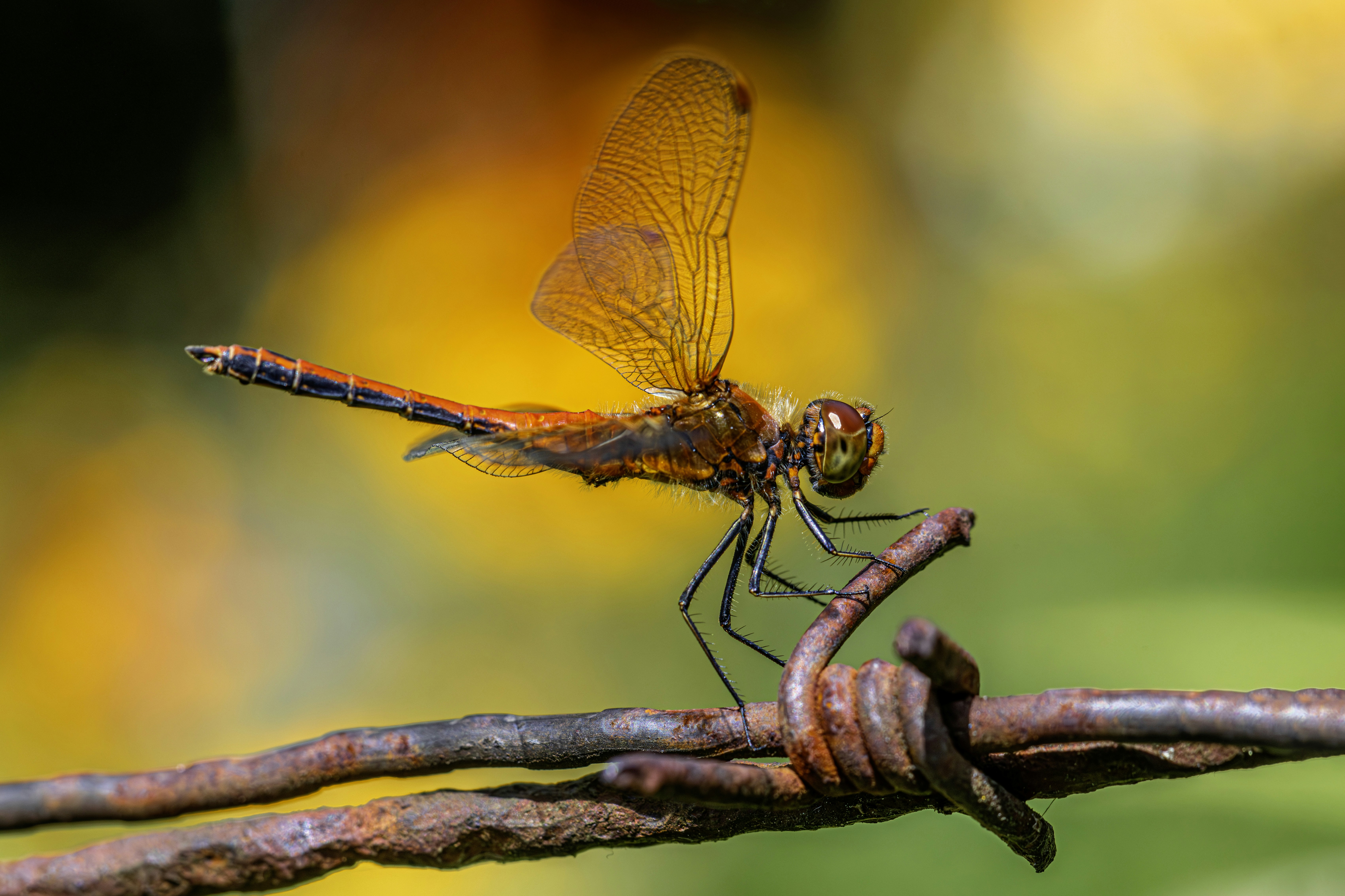 Photo by erik_karits